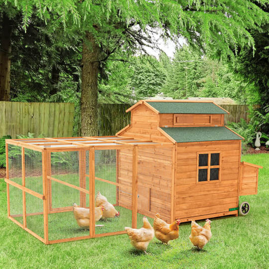 2026 56” Outdoor Weatherproof Wooden Chicken Coop, with nesting box, galvanized wire, asphalt roof and removable tray