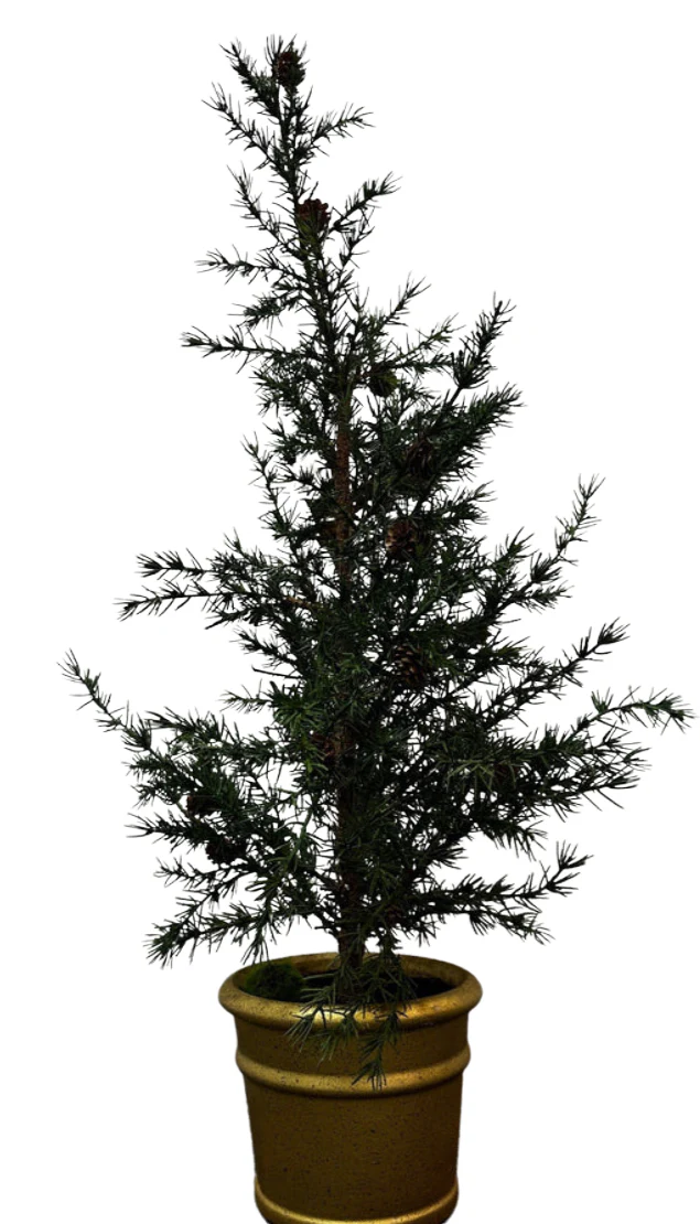 37.5 Pine Cone Tree in Gold Ceramic Vase