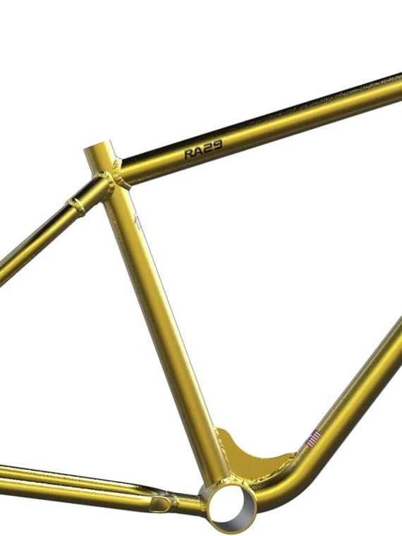 2026 RA29 BMX Bike Frame