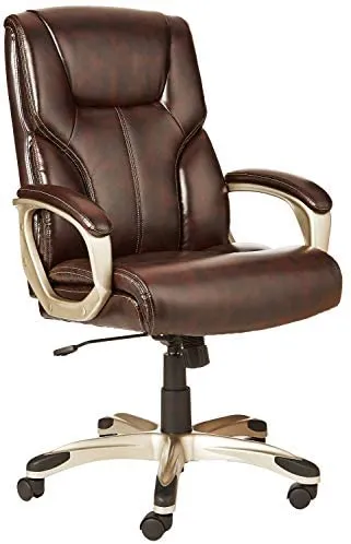 Executive Home Office Desk Chair with Padded Armrests- Black/Silver