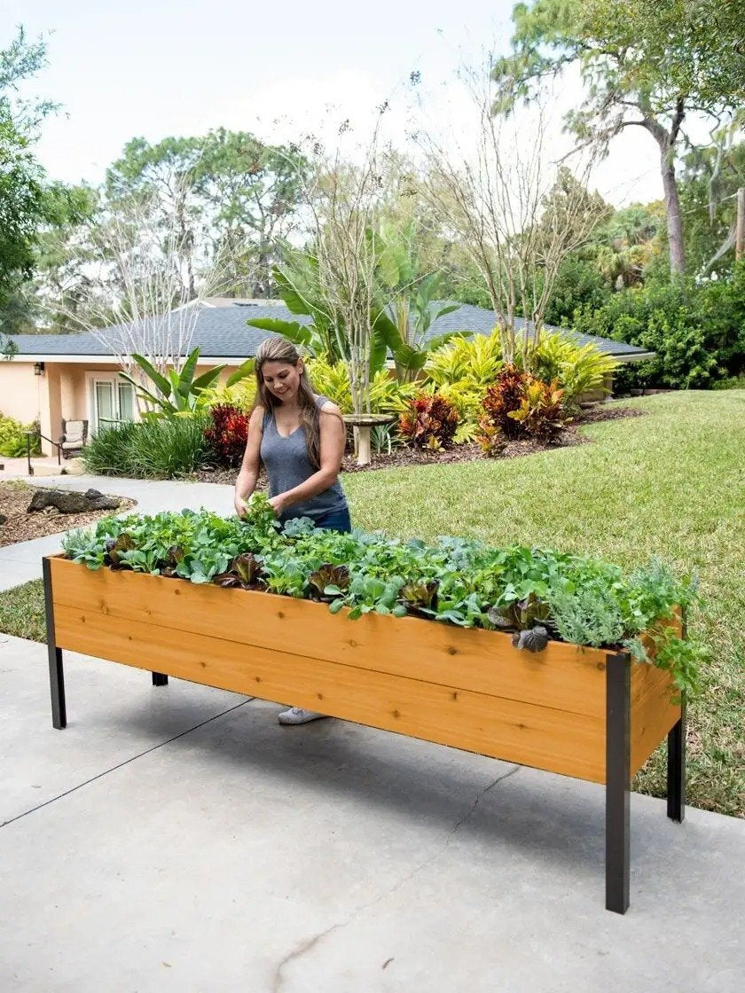 2026 Watering Eco-Stained Elevated Planter Box