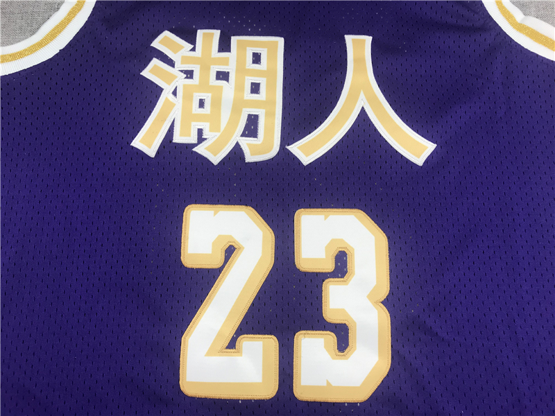 Men's Los Angeles Lakers LeBron James Purple Hardwood Classics Swingman Jersey