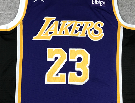 Men's Los Angeles Lakers LeBron James #23 NBA Purple Swingman Jersey