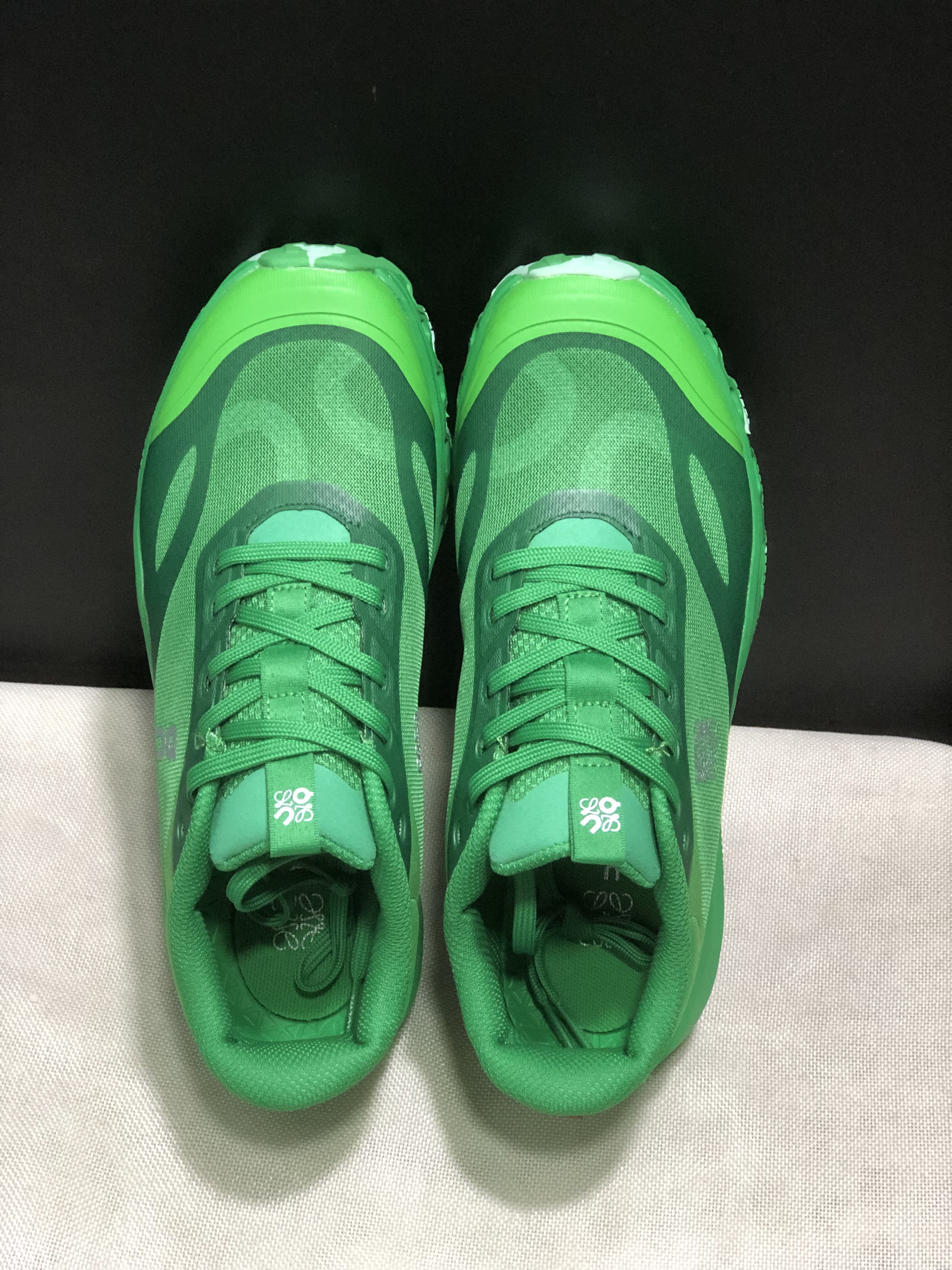 LOEWE x On Running Cloudventure 2.0 Running Shoes Co-Signed Edition Green