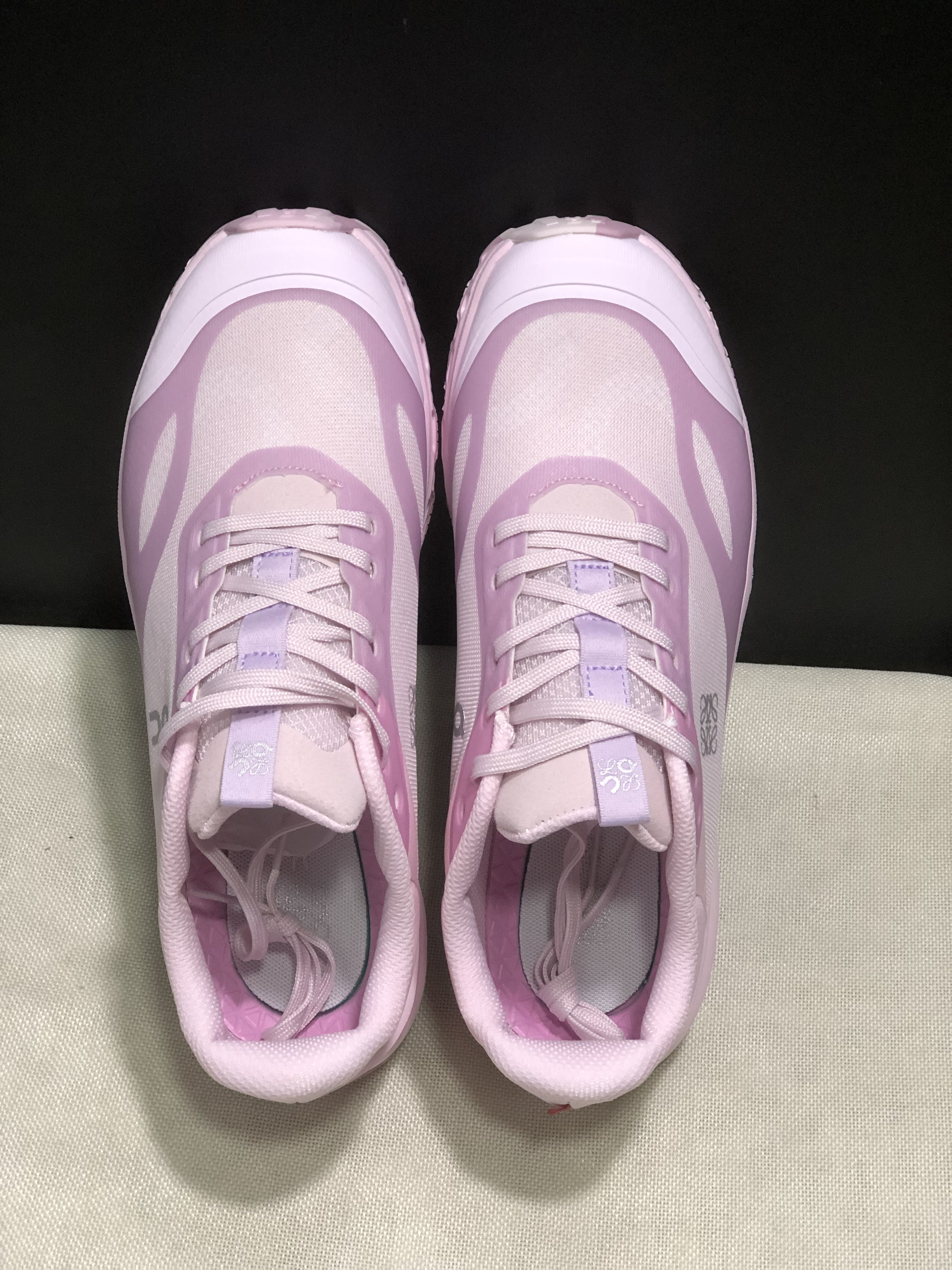 LOEWE x On Running Cloudventure 2.0 Running Shoes Co-Signed Edition Pale Pink