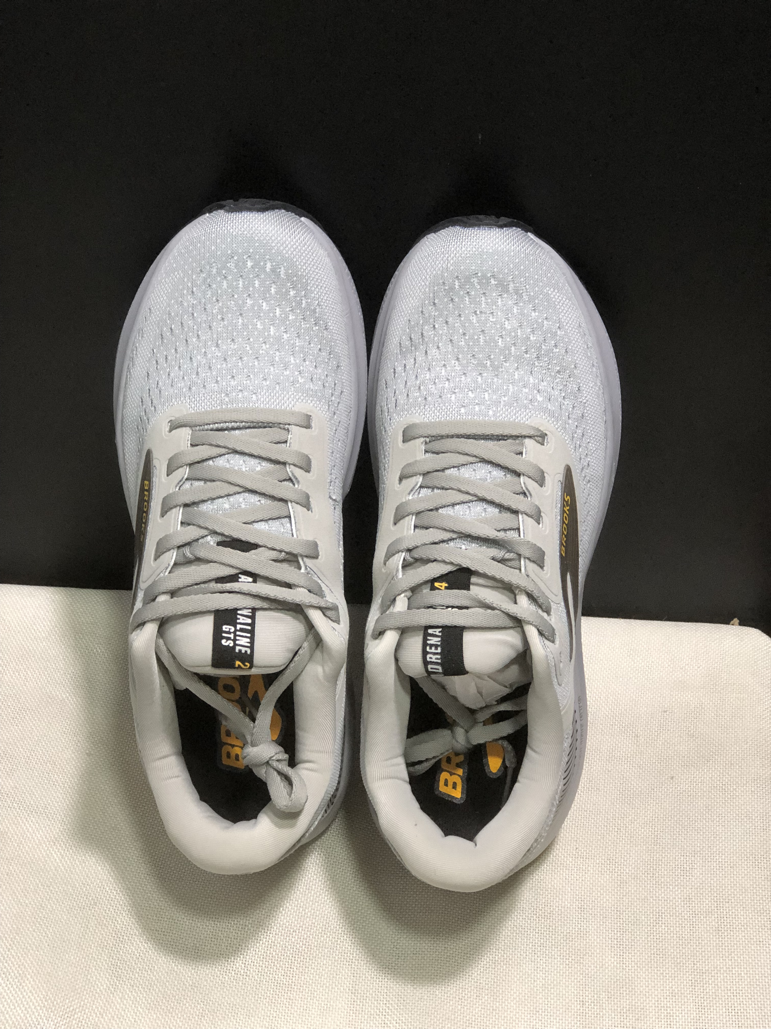 Brooks Adrenaline GTS 24 Casual Running Shoes Silver/White/Gold Fusion