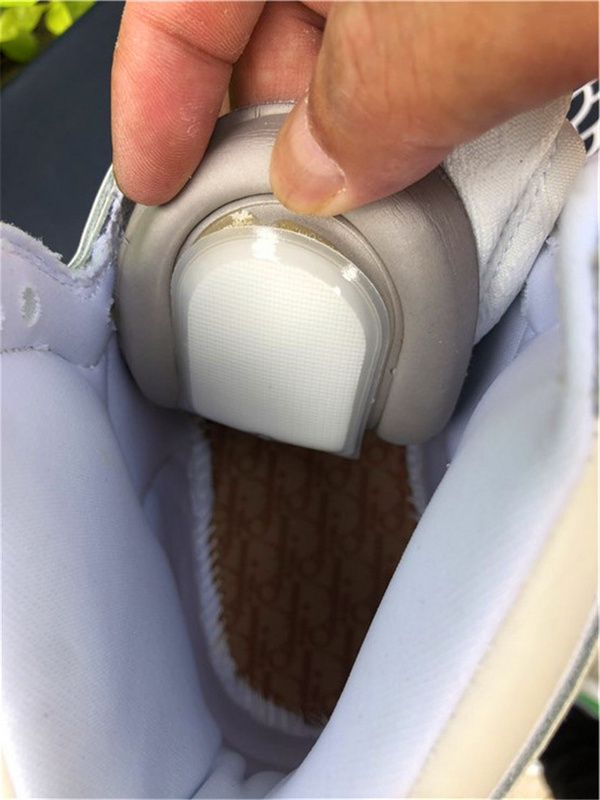 Nike Air Jordan 1 Retro High Neutral Grey Sneakers Dior Joint Edition