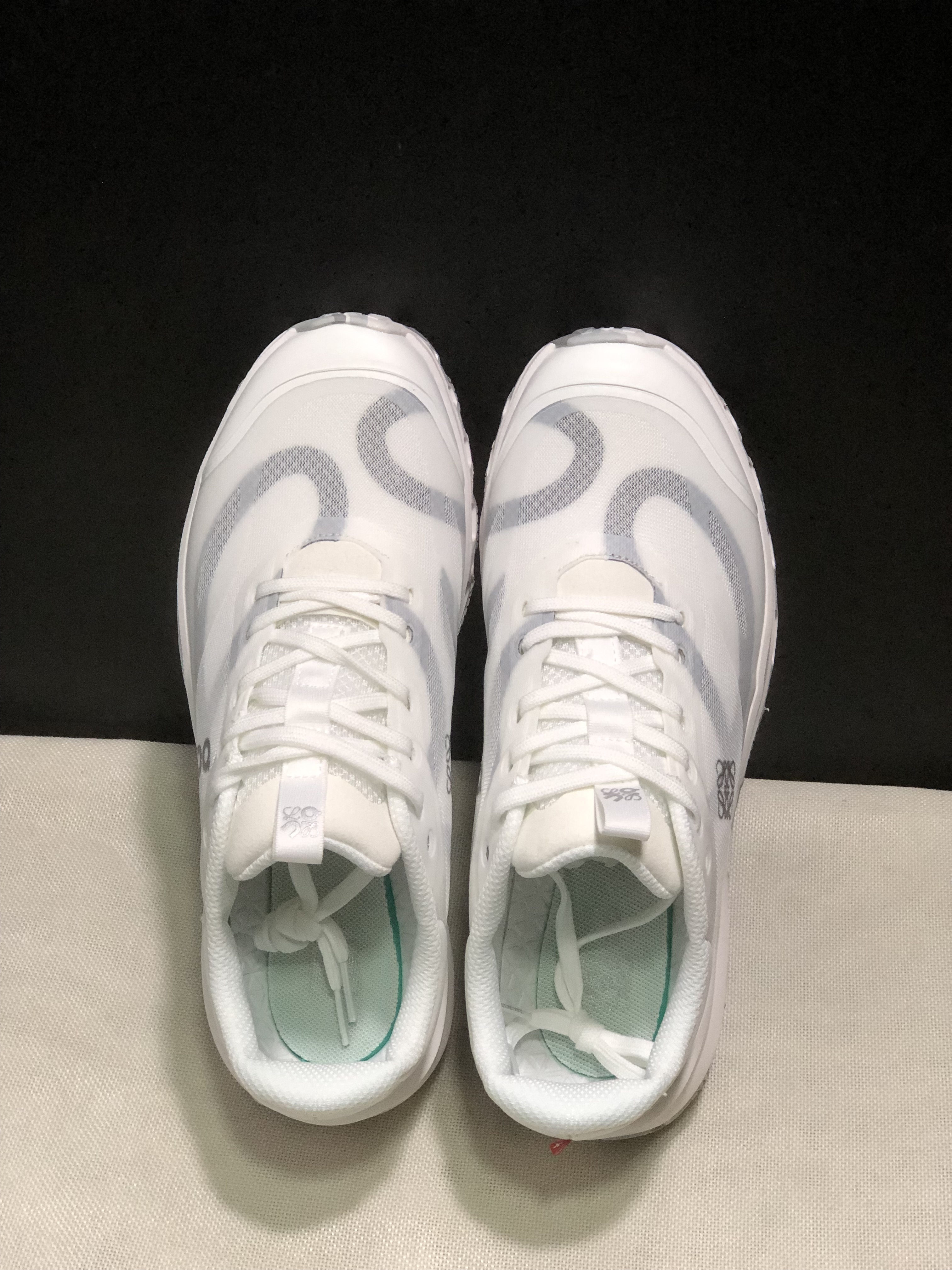 LOEWE x On Running Cloudventure 2.0 White Running Shoes Co-Signed Edition