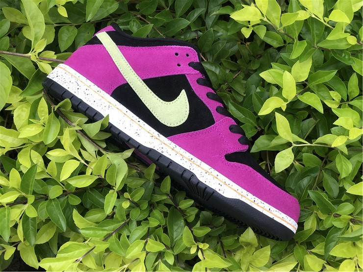 Nike Dunk Low Pro SB Red Plum Purple Sneakers