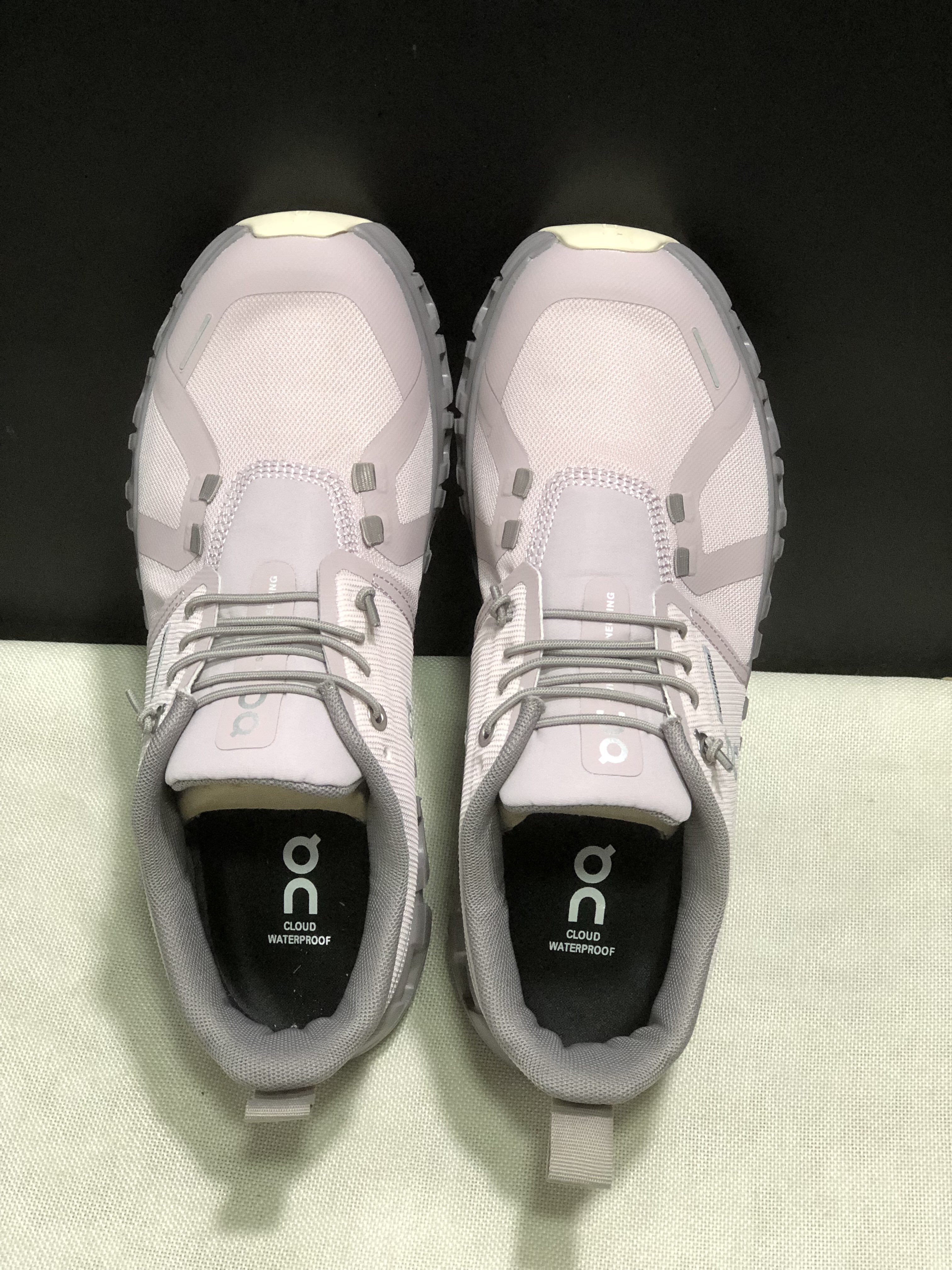 On Running Cloud 6 Mauve Casual Life Shoes