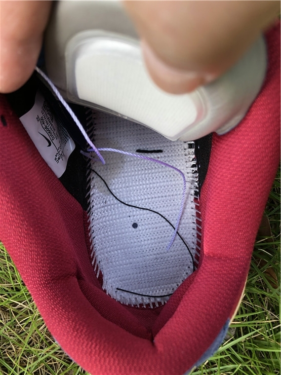 Nike SB Dunk Low Barcelona Catalonia Low Top Blue Red Sneakers