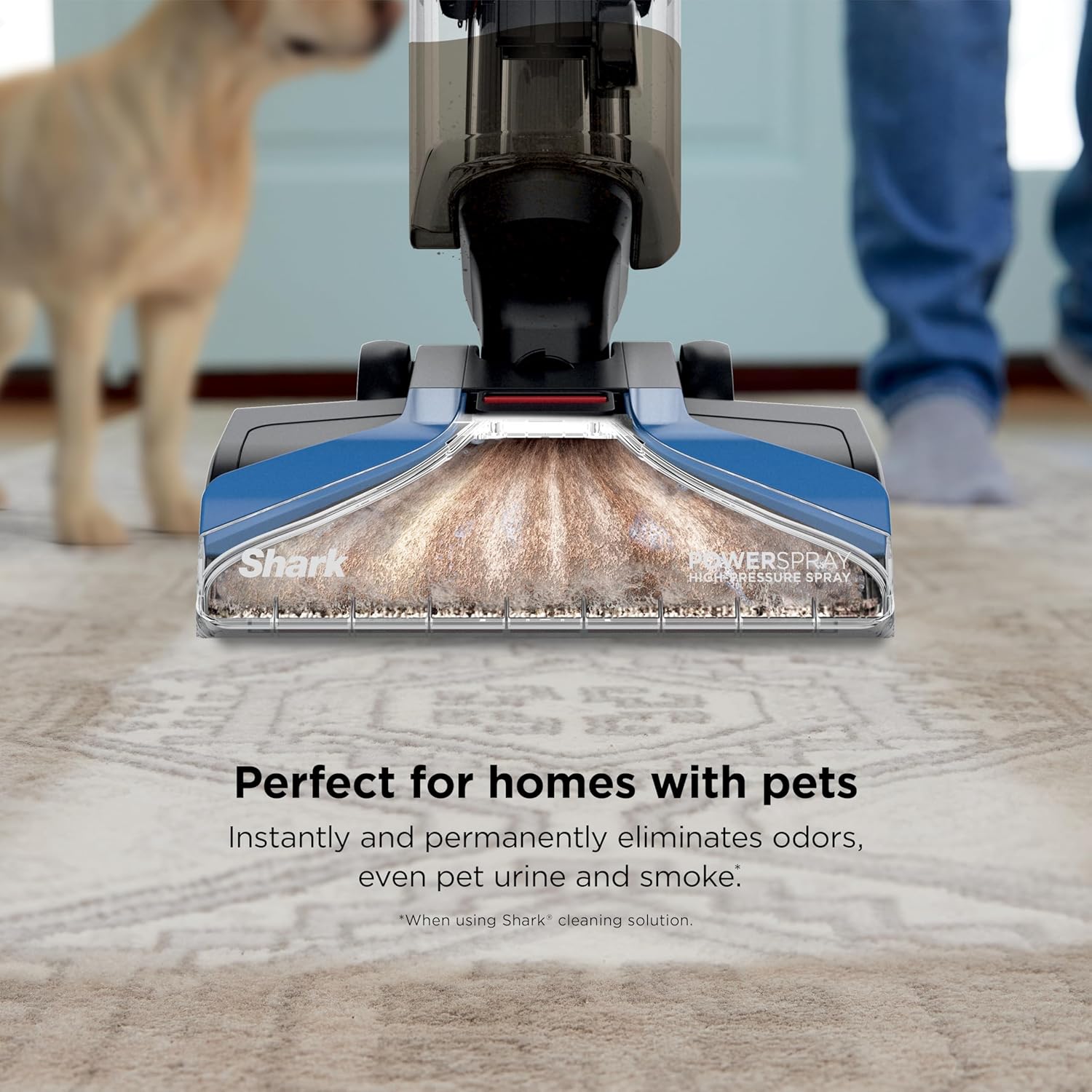 Carpetxpert Upright Carpet & Upholstery Cleaner