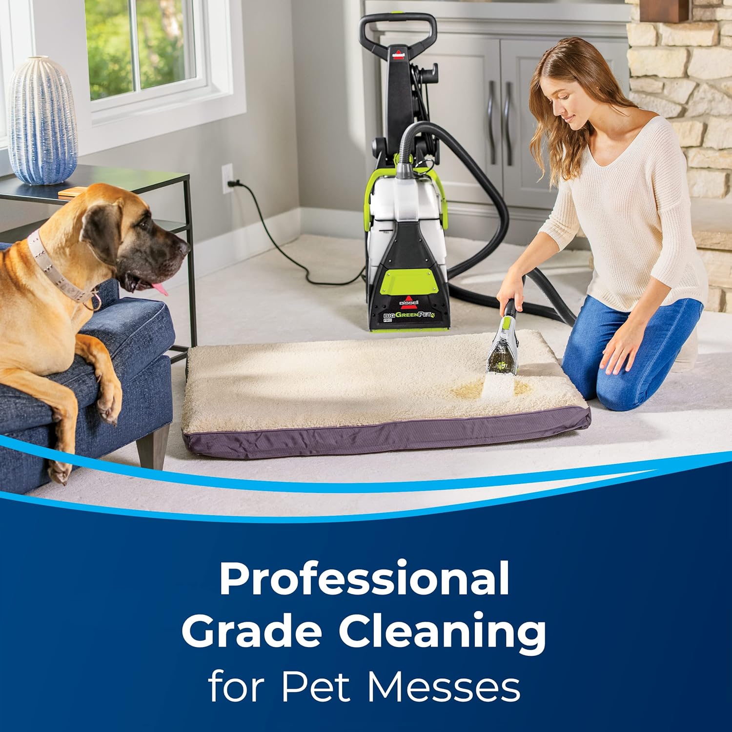 Big Green Professional Carpet Cleaner with Tools