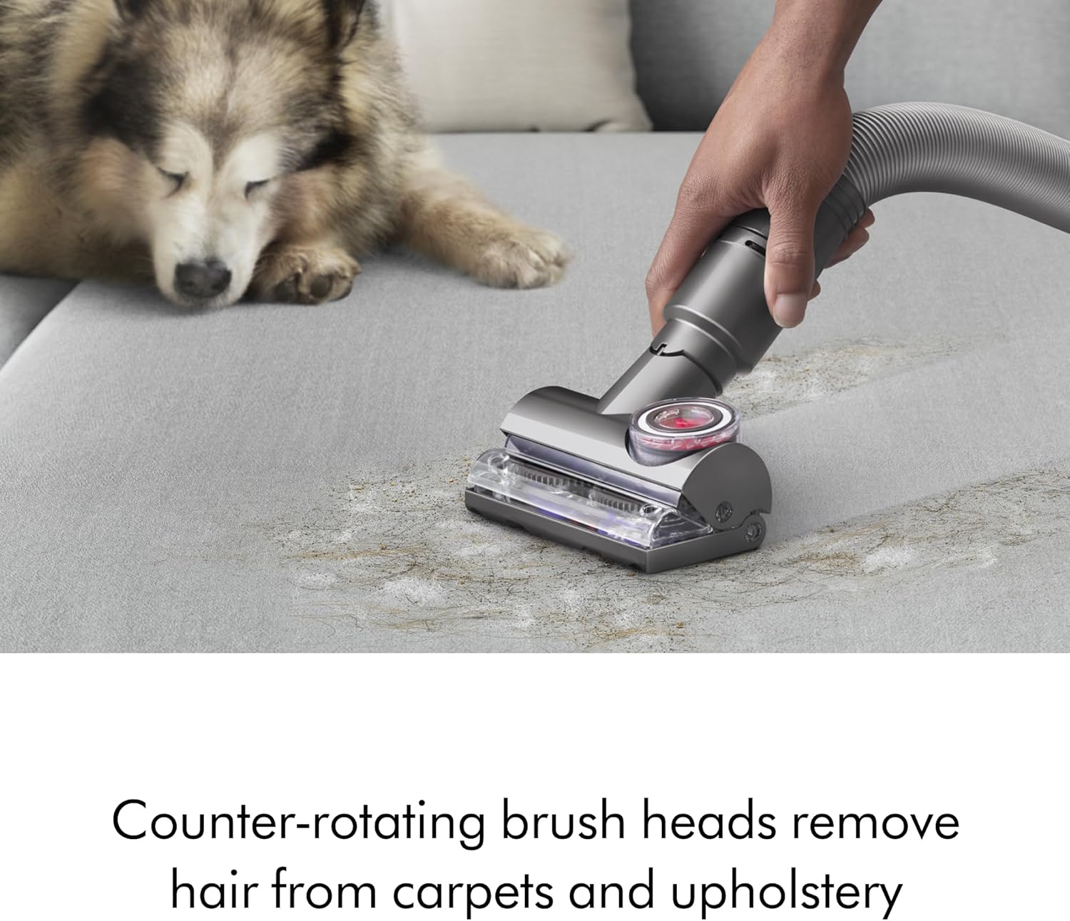 Ball Animal 3 Vacuum Cleaner – Nickel