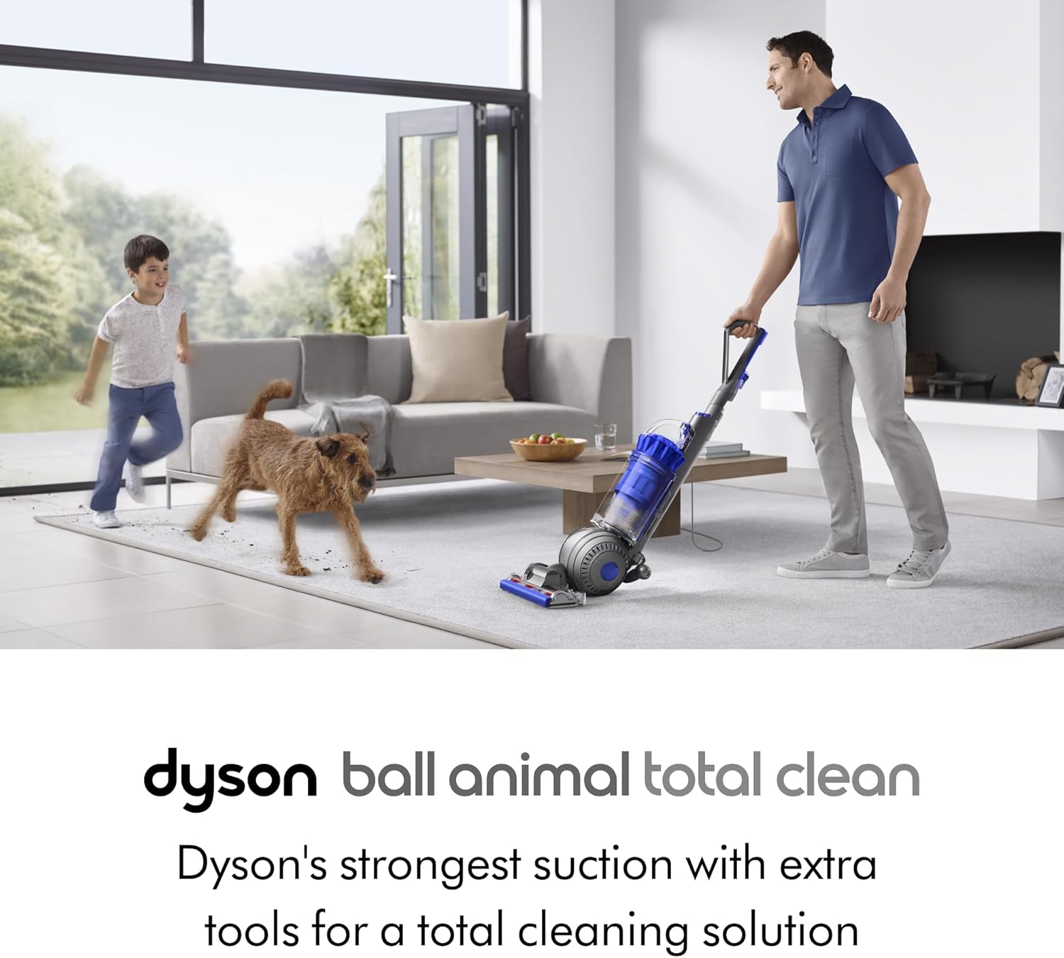 Ball Animal 3 Vacuum Cleaner – Nickel