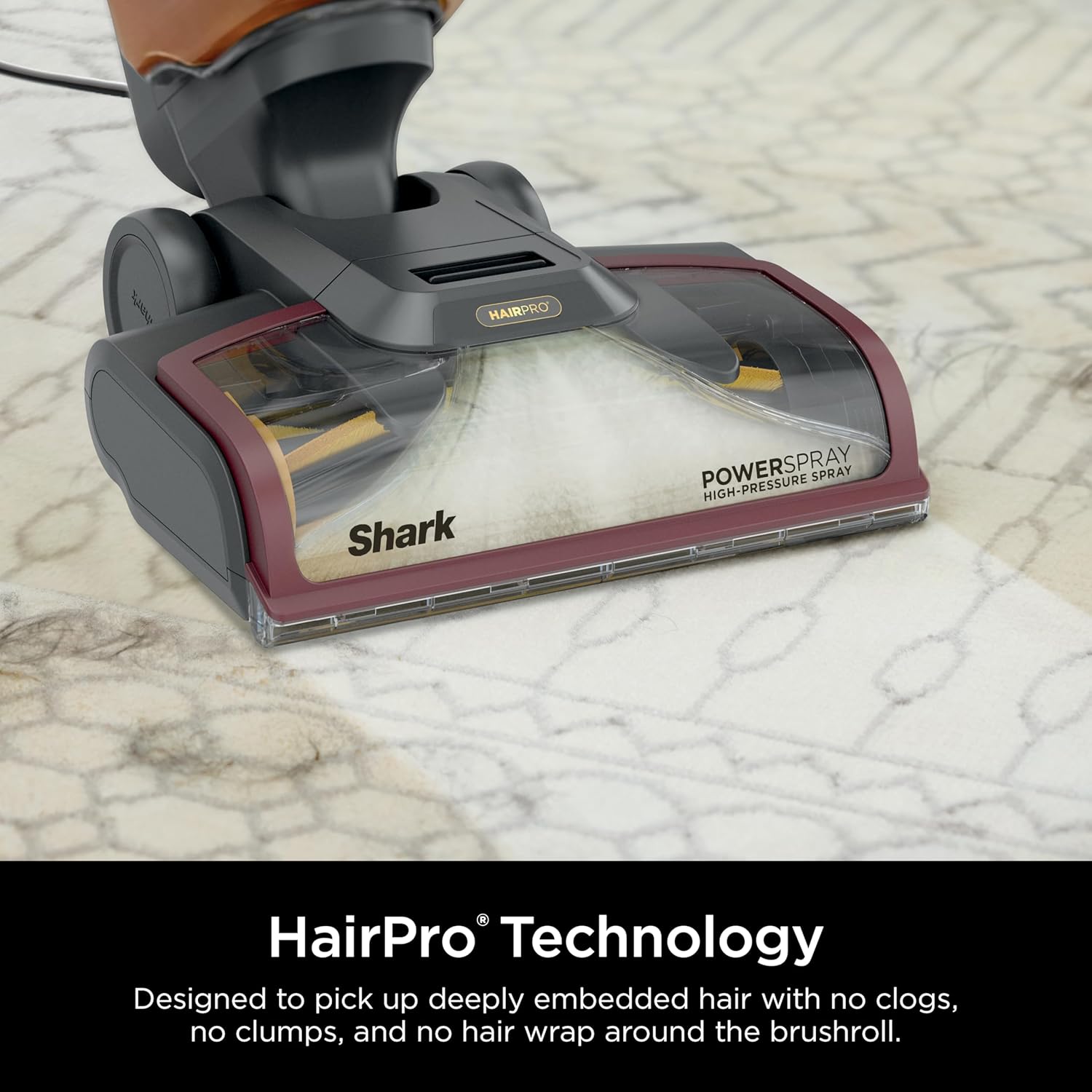 Carpetxpert Upright Carpet & Upholstery Cleaner