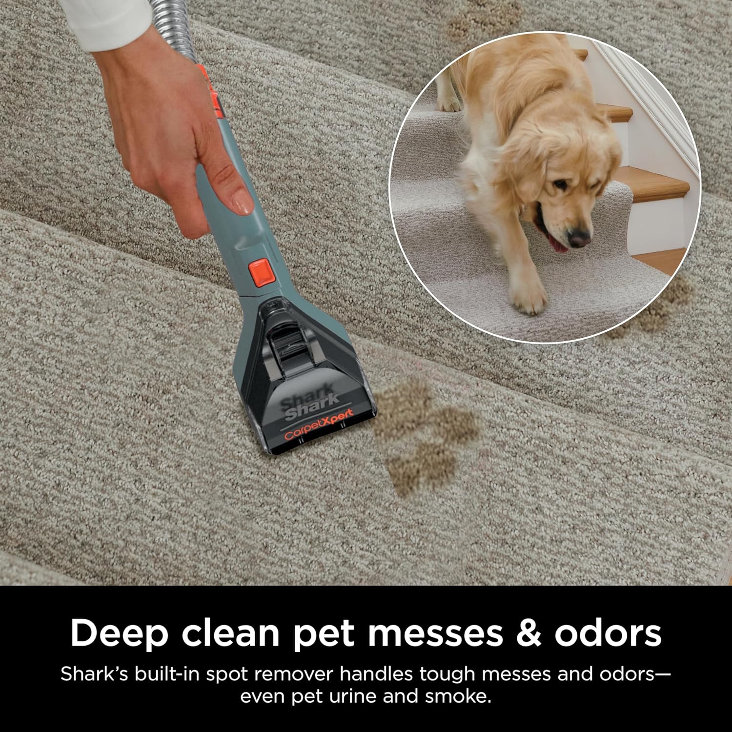 Carpetxpert Upright Carpet & Upholstery Cleaner