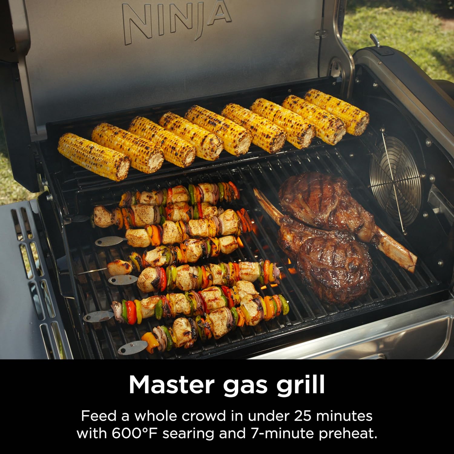 Flexflame 5-in-1 Electric & Propane Grill System