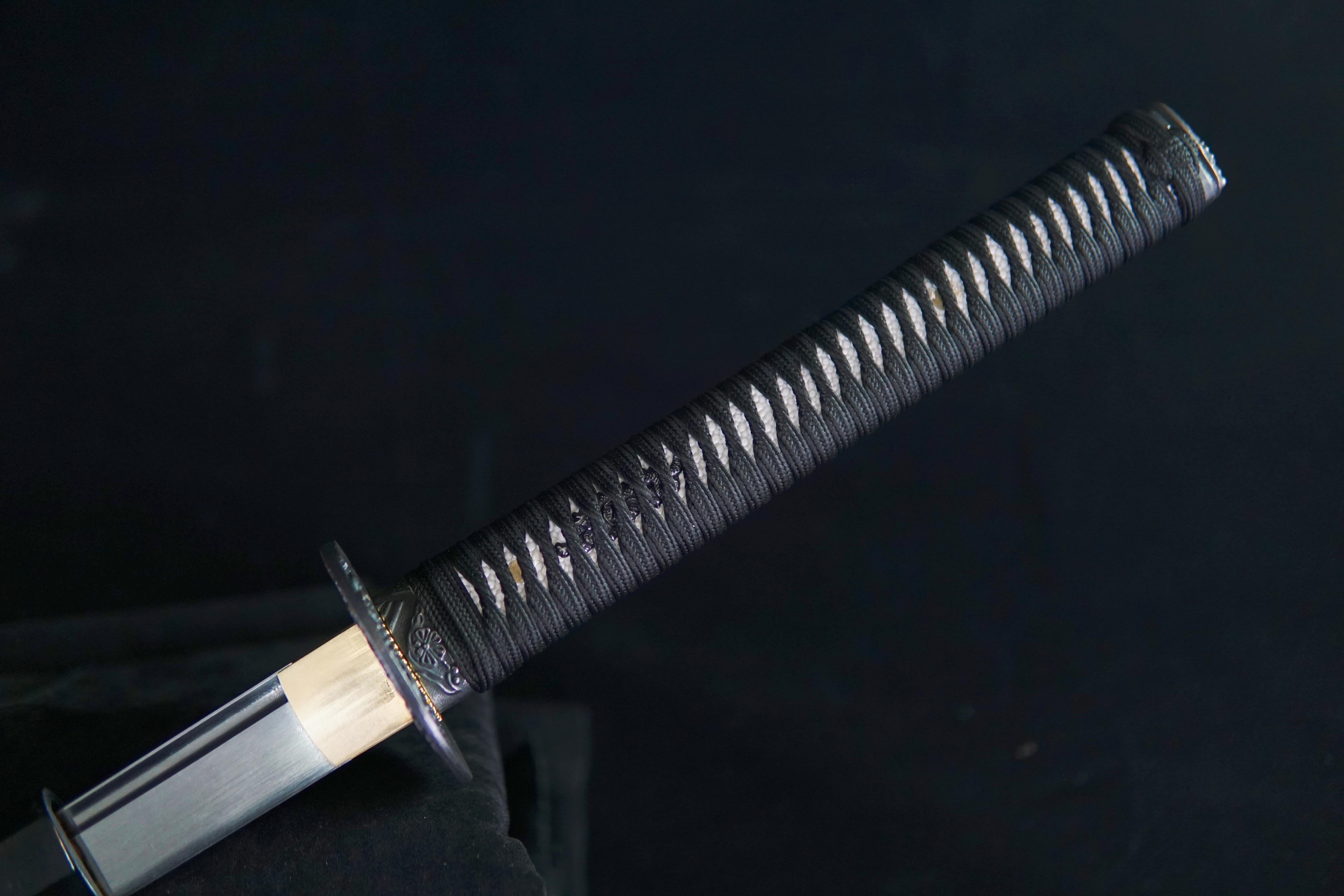 TK03 Heaven's Fury (天煞孤星) Katana | Spring steel | Hand forged sharpened | Wooden Lacquer Sheath | Iron Accessories | Full-tang | Battle-ready | Razor sharp | High performance - Spartan Blades Club - 陳氏劍莊1892