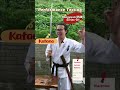 HYS04 | Hongyuan (鸿渊-肆) Katana | Spring Steel | Fully Functional | Super Sharp | High Performance | Shinogi-Zukuri | S.B.C - Spartan Blades Club - 陳氏劍莊1892