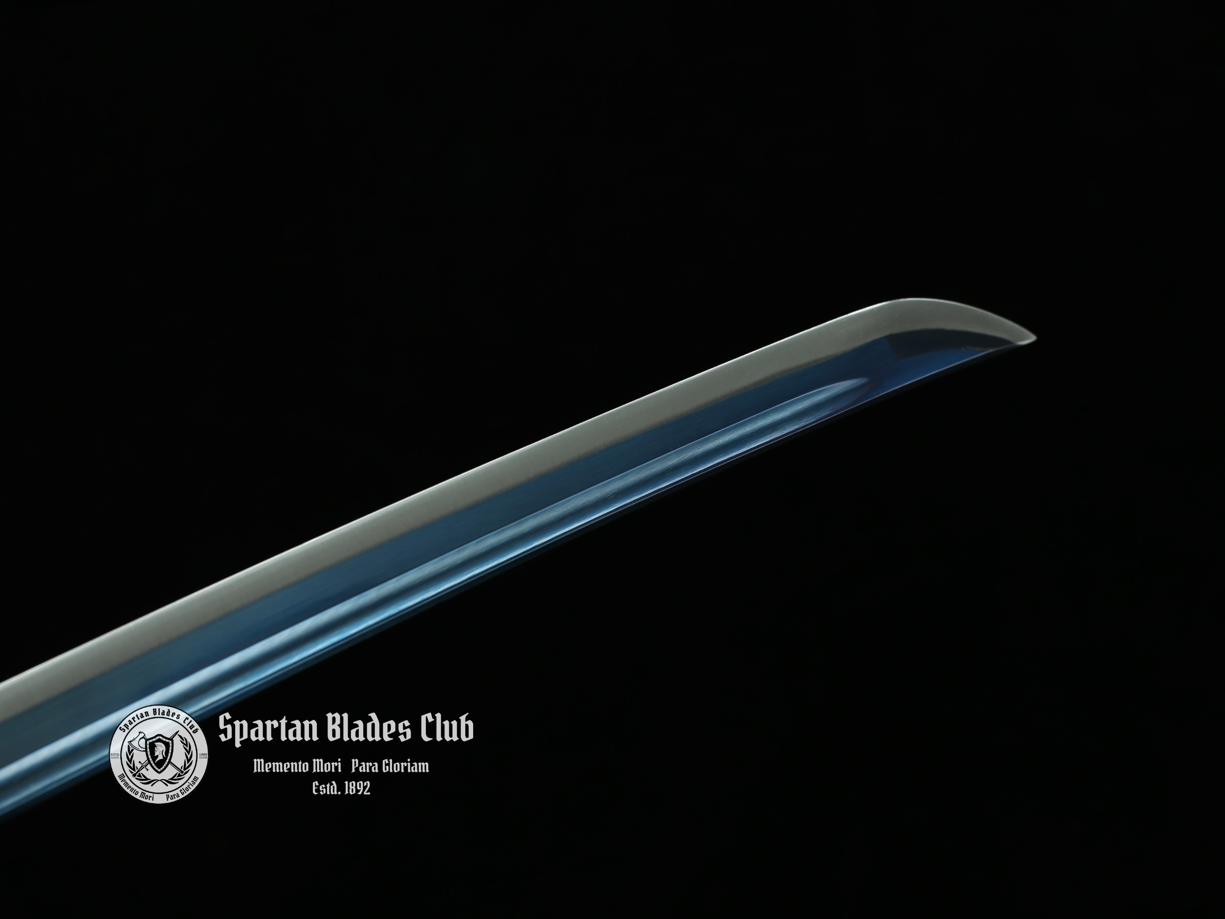 *TK26* 雷龙 (Raiden Dragon) Katana - Hand-Forged - 1045 Carbon Steel - Bat Pattern Tsuba - Vibrant Blue Design - Spartan Blades Club - Spartan Blades Club - 陳氏劍莊1892