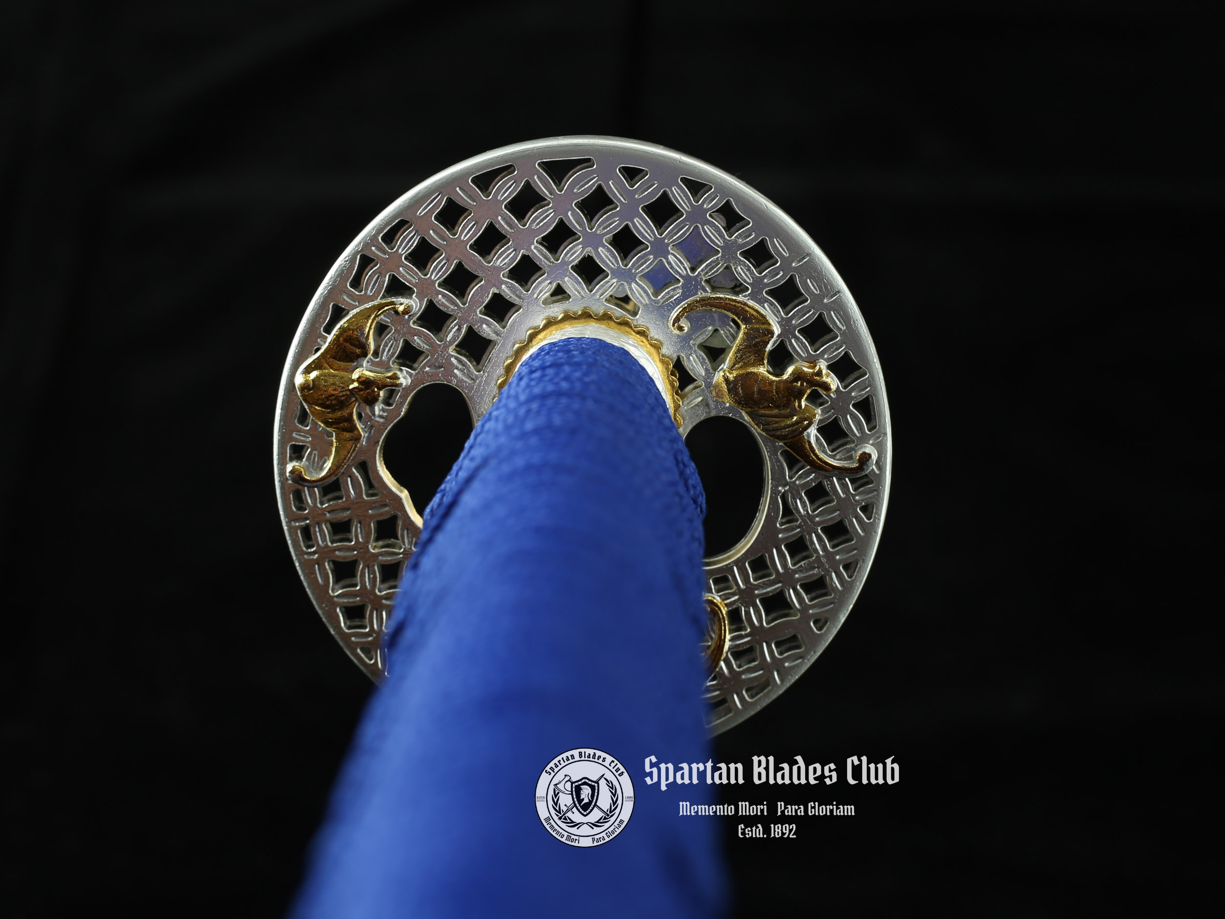 *TK26* 雷龙 (Raiden Dragon) Katana - Hand-Forged - 1045 Carbon Steel - Bat Pattern Tsuba - Vibrant Blue Design - Spartan Blades Club - Spartan Blades Club - 陳氏劍莊1892