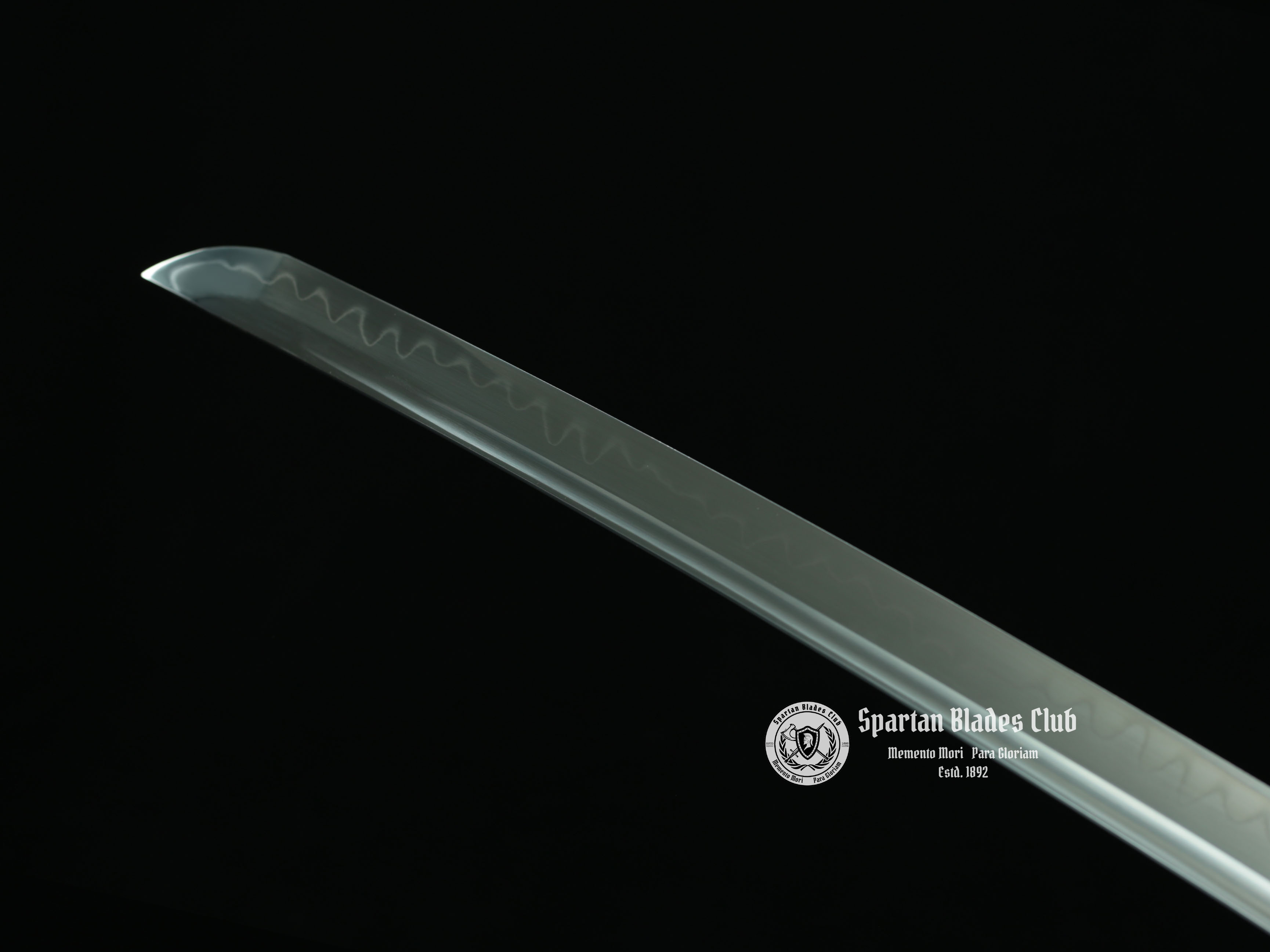 🐲TK24🐲 Black Dragon Slayer(黑狱魔龙)Katana Wakizashi Tanto/ Daisho Set / T10 Steel Clay-Tempered / Full-tang / Battle-ready / Handcrafted / Black Dragon / Spartan Blades Club / CHEN'S SWORDS 1892 - Spartan Blades Club - 陳氏劍莊1892