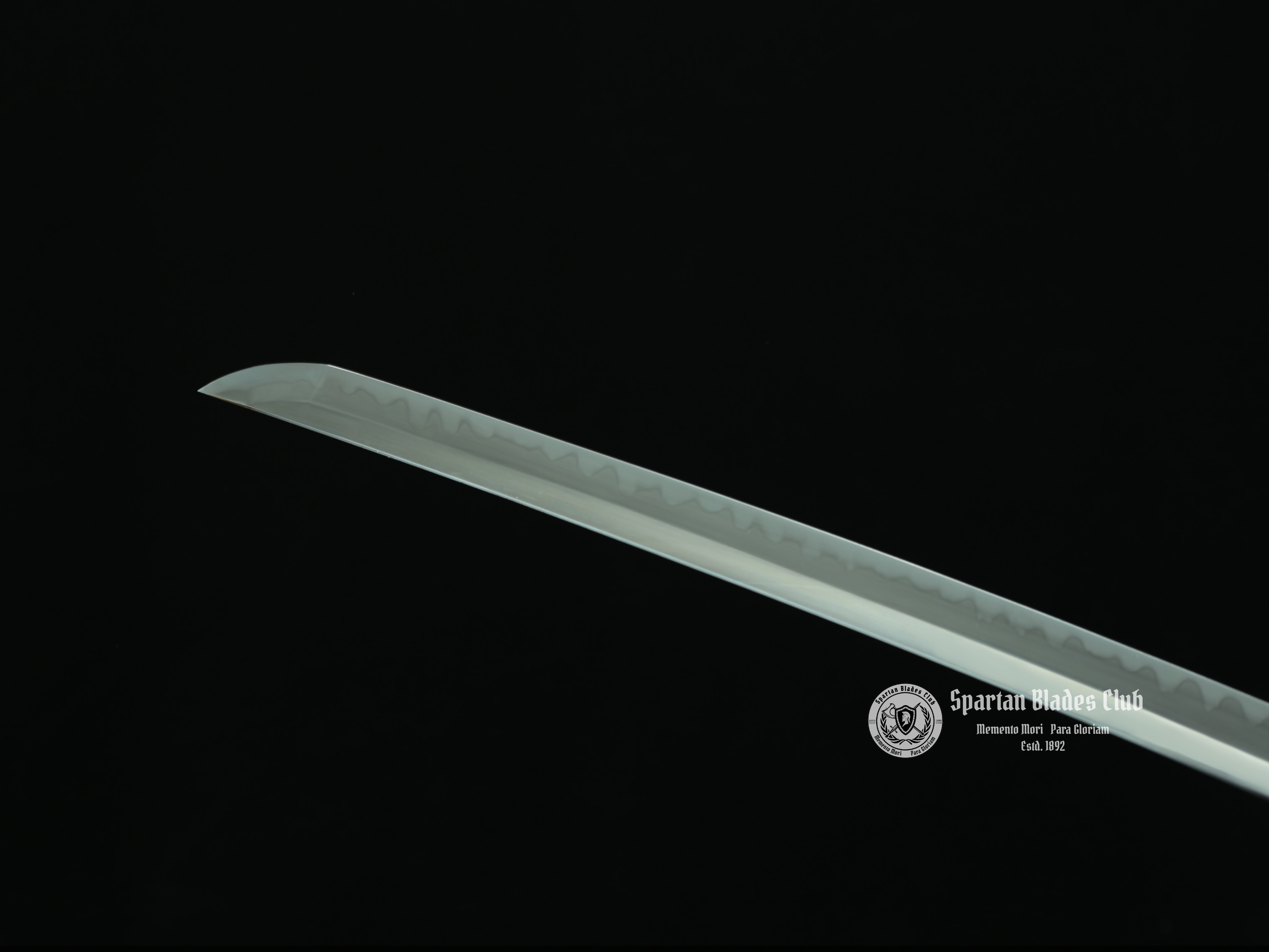 TK28 白枭 (Bai Xiao) Shirasaya - T10 Steel Blade with Clay Tempered - Brass and Buffalo Horn Fittings - Spartan Blades Club - Spartan Blades Club - 陳氏劍莊1892