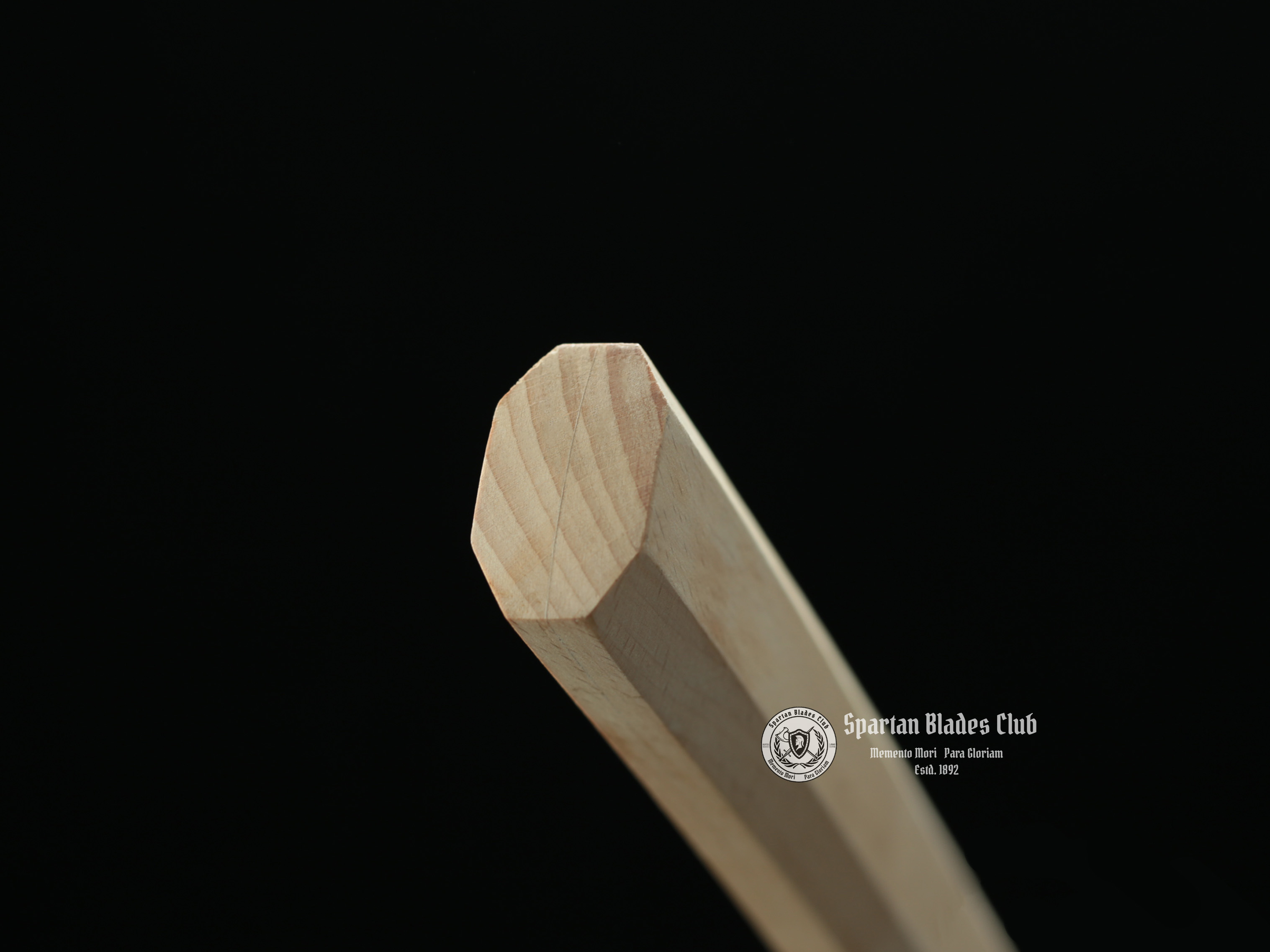 TK28 白枭 (Bai Xiao) Shirasaya - T10 Steel Blade with Clay Tempered - Brass and Buffalo Horn Fittings - Spartan Blades Club - Spartan Blades Club - 陳氏劍莊1892