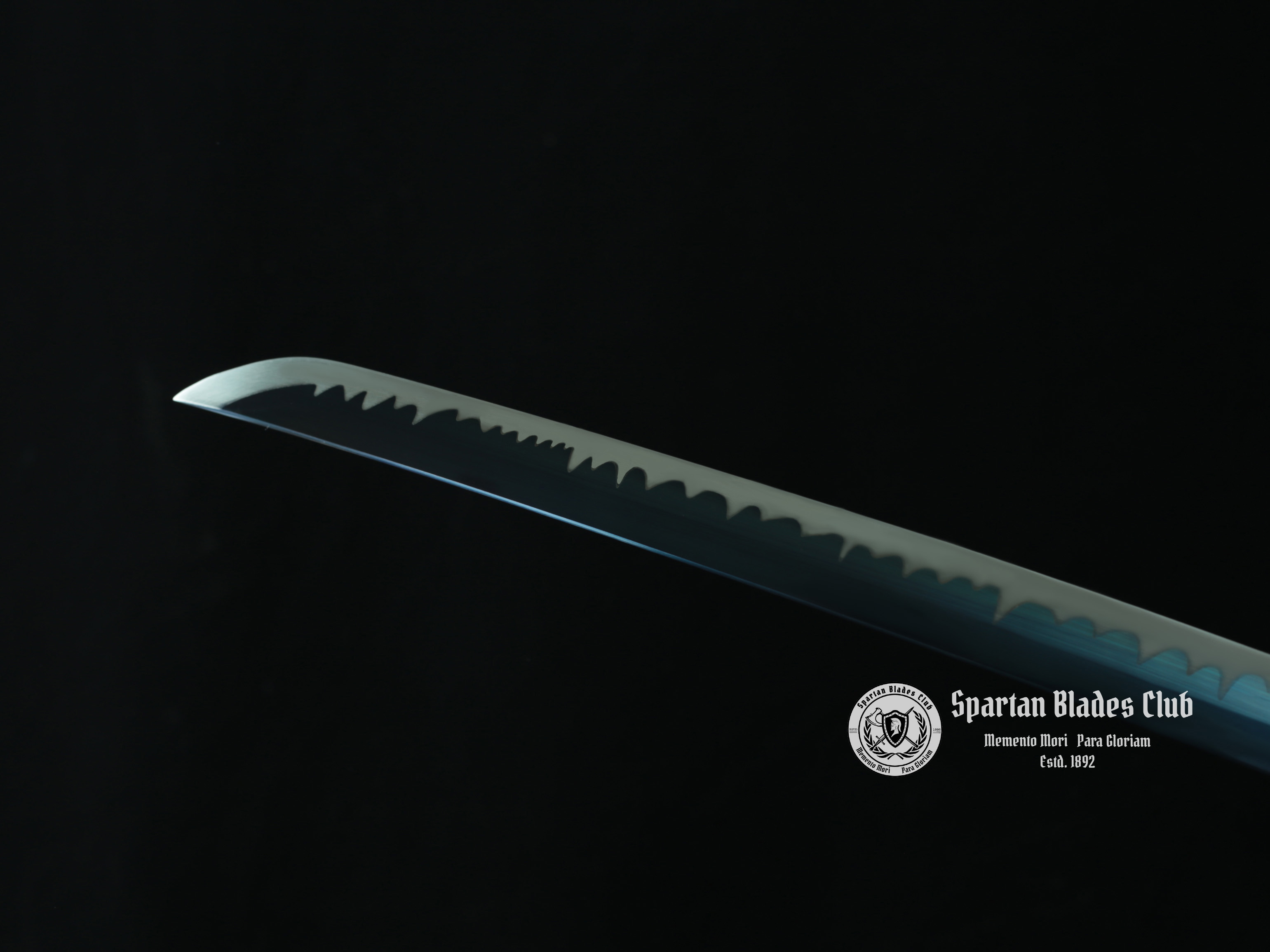 [New] Blue Flowers Samurai Katana - T10 Steel - Blue Blade - Battle ready - Full Tang - SBC - Spartan Blades Club - 陳氏劍莊1892