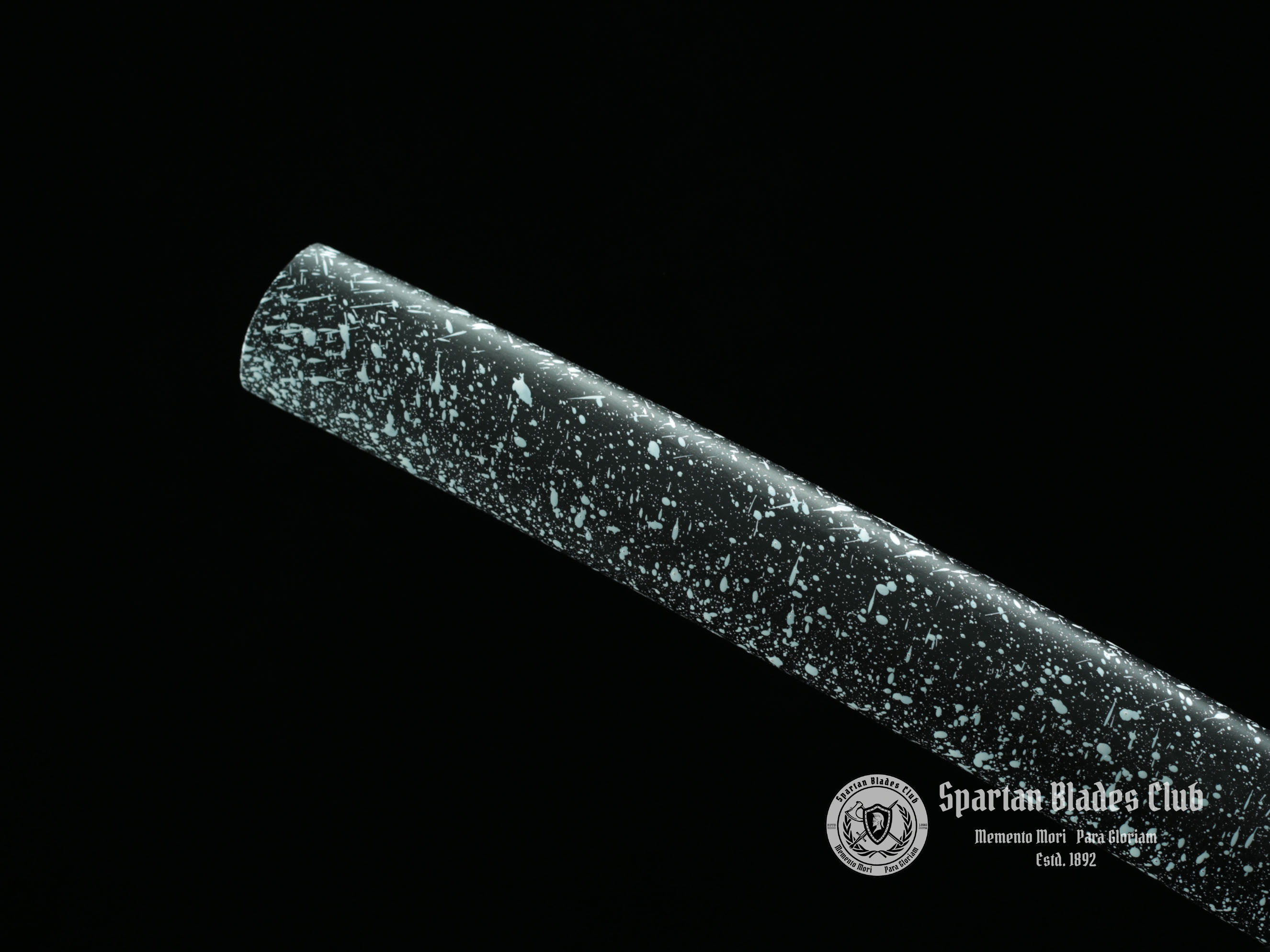 Black Dragon(墨龙）Katana - T10 steel with Bo-hi - Battle ready - Full Tang - SBC - Spartan Blades Club - 陳氏劍莊1892