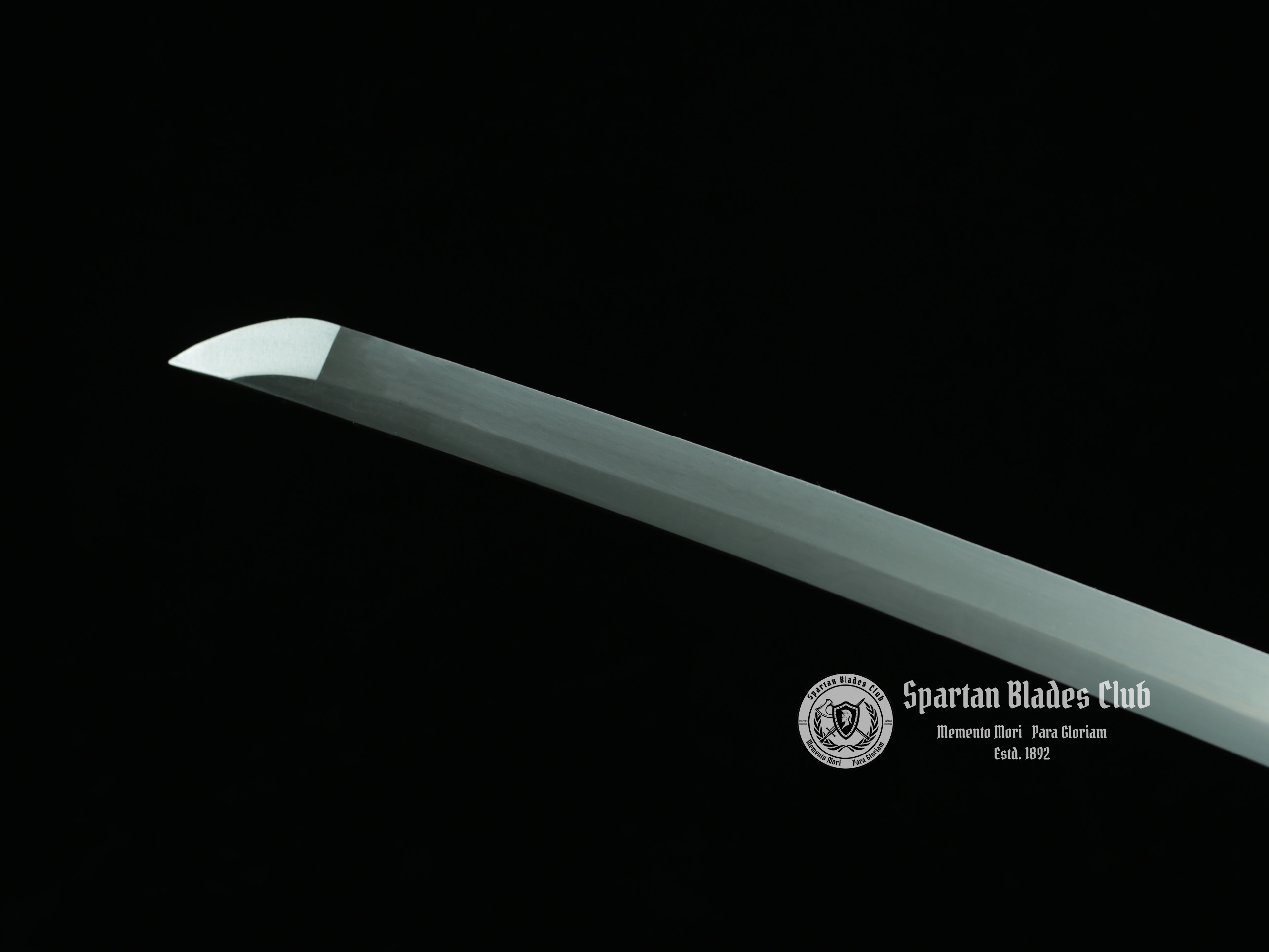 TK27 Elegant Tachi Sword - T10 Steel - Exquisite Classical Tsuba - Brass Fittings - Battle Ready - 126cm (49.61 inches) - Spartan Blades Club - Spartan Blades Club - 陳氏劍莊1892