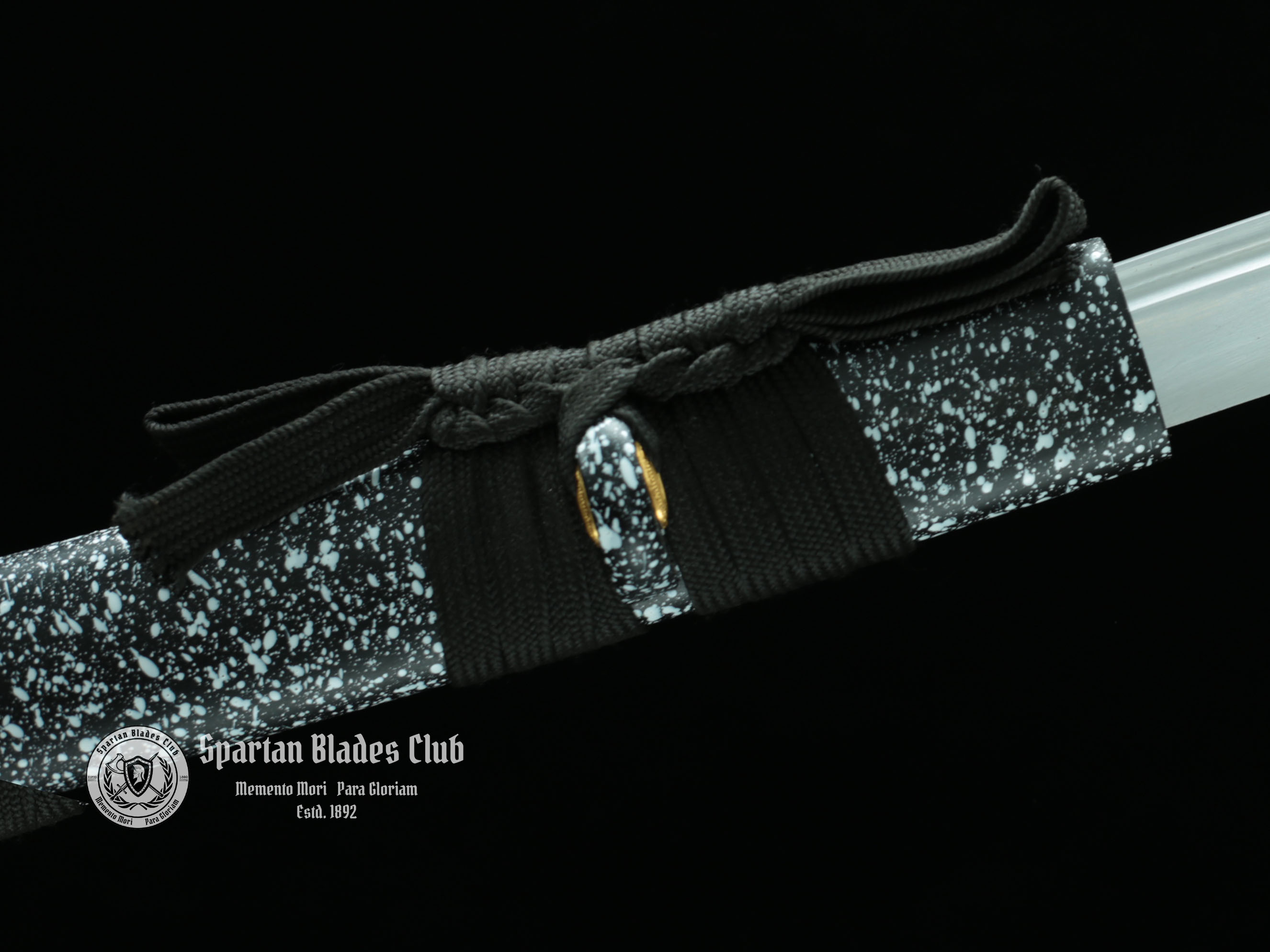 Black Dragon(墨龙）Katana - T10 steel with Bo-hi - Battle ready - Full Tang - SBC - Spartan Blades Club - 陳氏劍莊1892