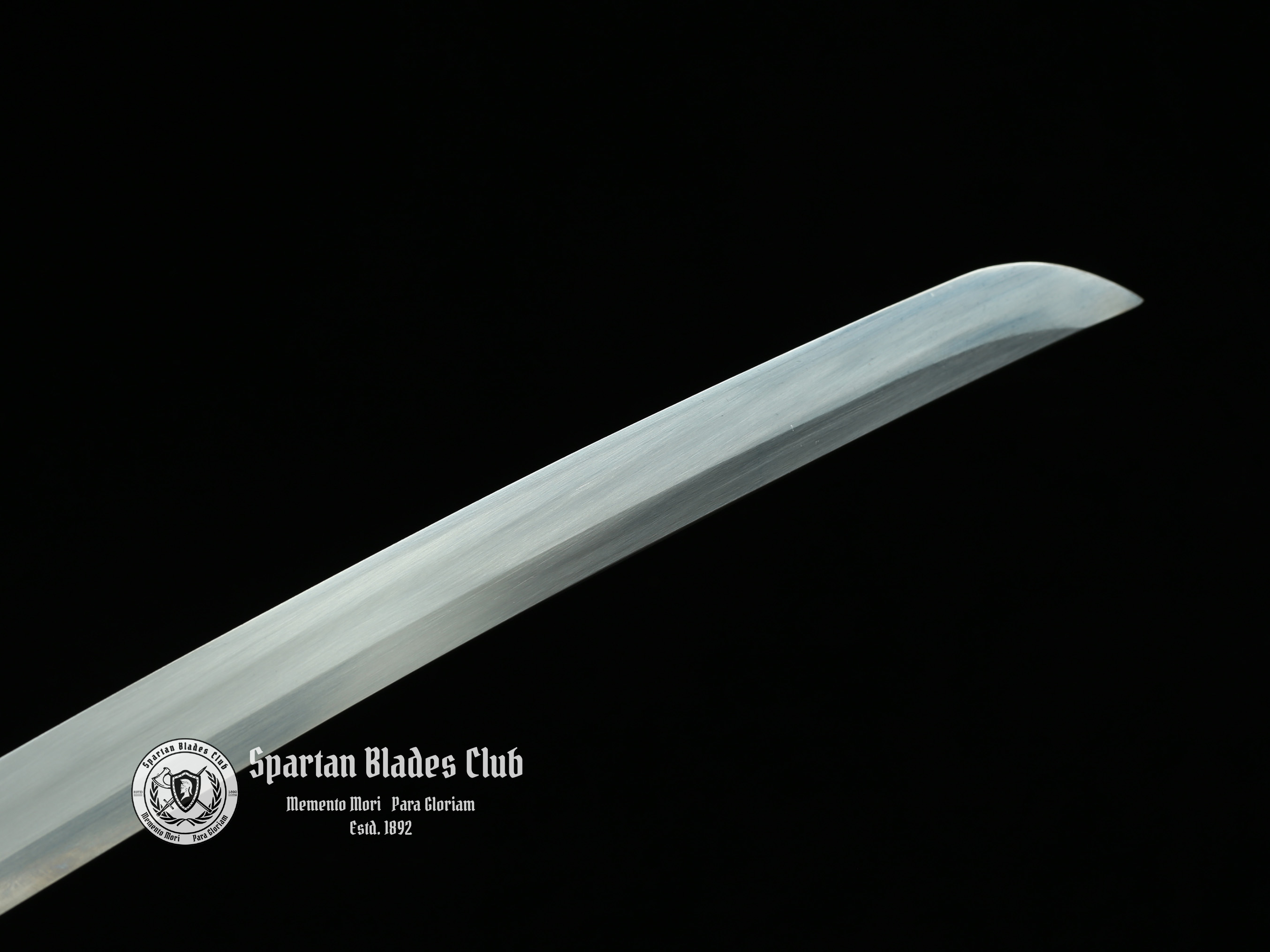 Fumo Tachi (伏魔太刀) - Exquisite T10 Steel Tachi with Brass Fittings - Battle Ready - SBC - Spartan Blades Club - 陳氏劍莊1892