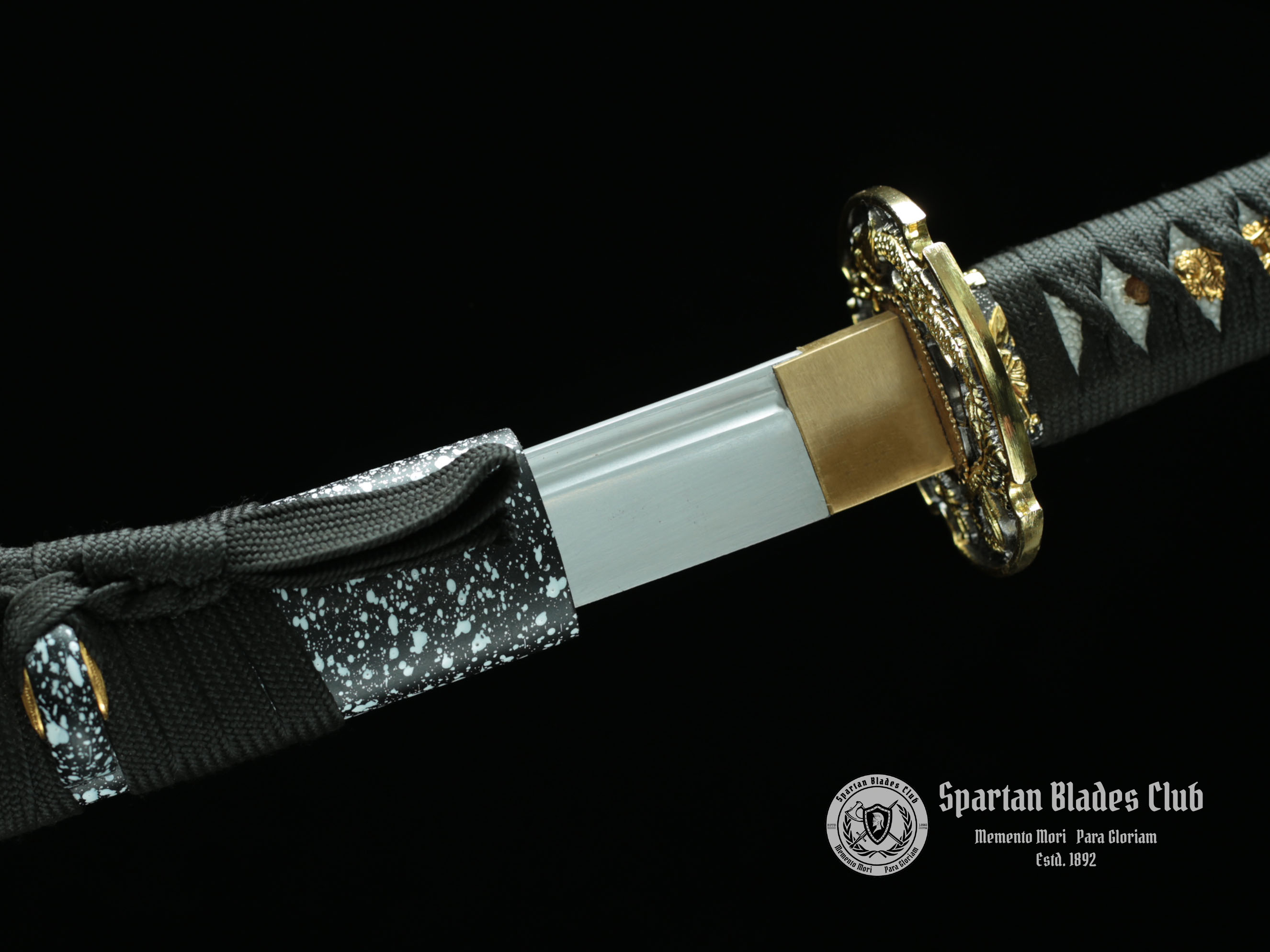 Black Dragon(墨龙）Katana - T10 steel with Bo-hi - Battle ready - Full Tang - SBC - Spartan Blades Club - 陳氏劍莊1892