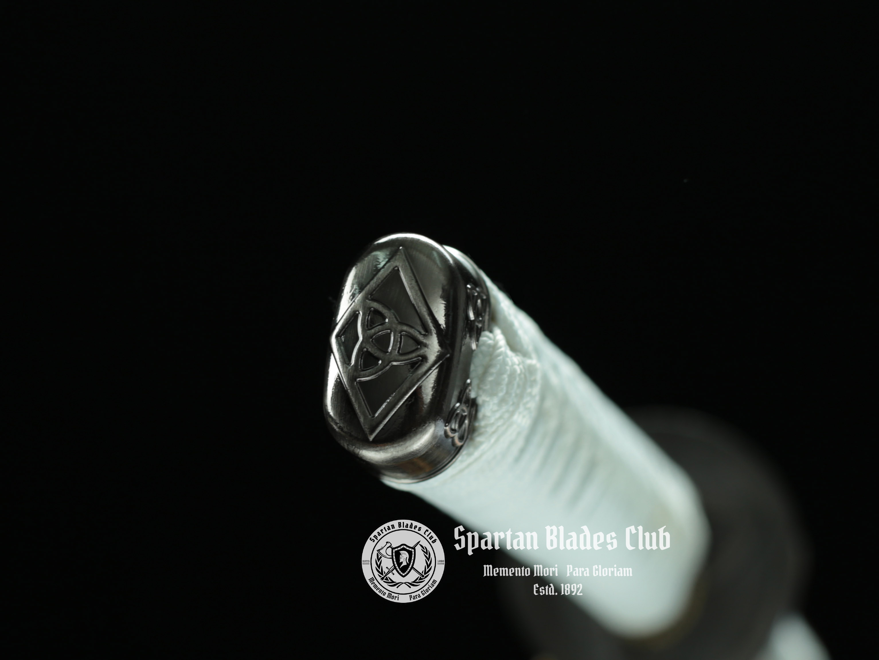 TK45 The Walking Dead Katana - Michonne Sword - Zombie Killer - T10 Steel - Spartan Blades Club - Spartan Blades Club - 陳氏劍莊1892