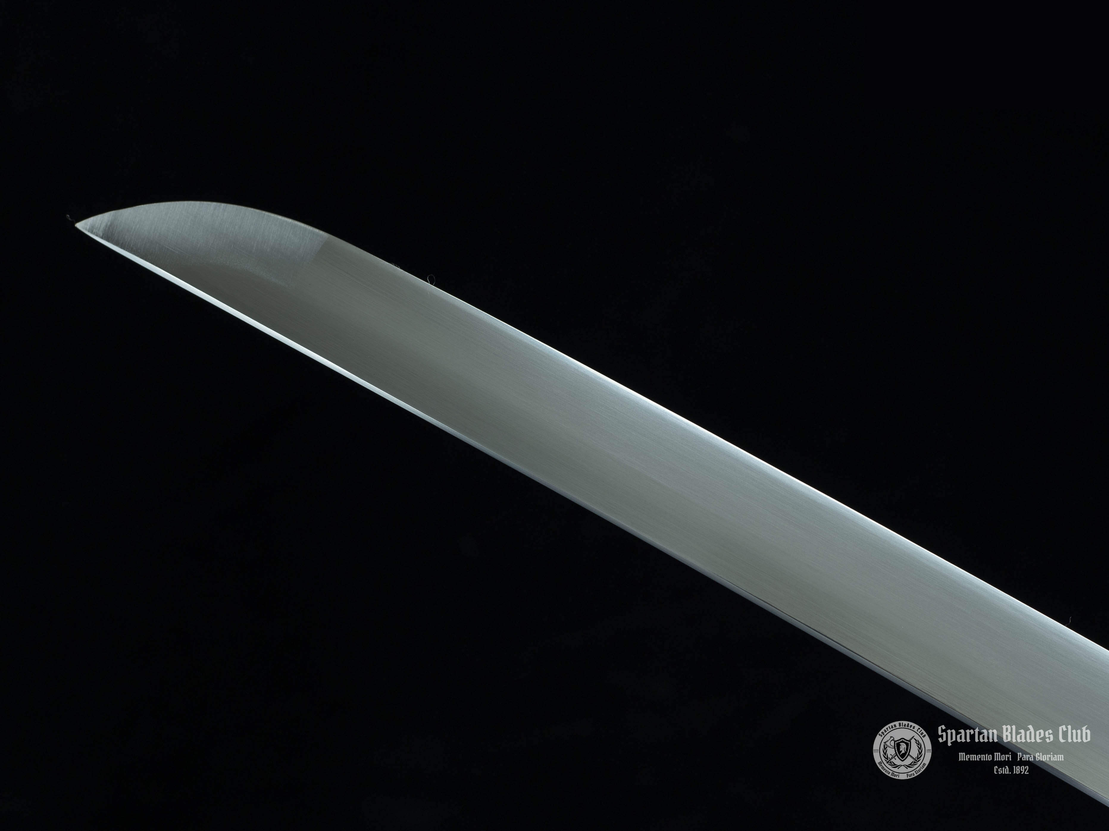 TK45 The Walking Dead Katana - Michonne Sword - Zombie Killer - T10 Steel - Spartan Blades Club - Spartan Blades Club - 陳氏劍莊1892