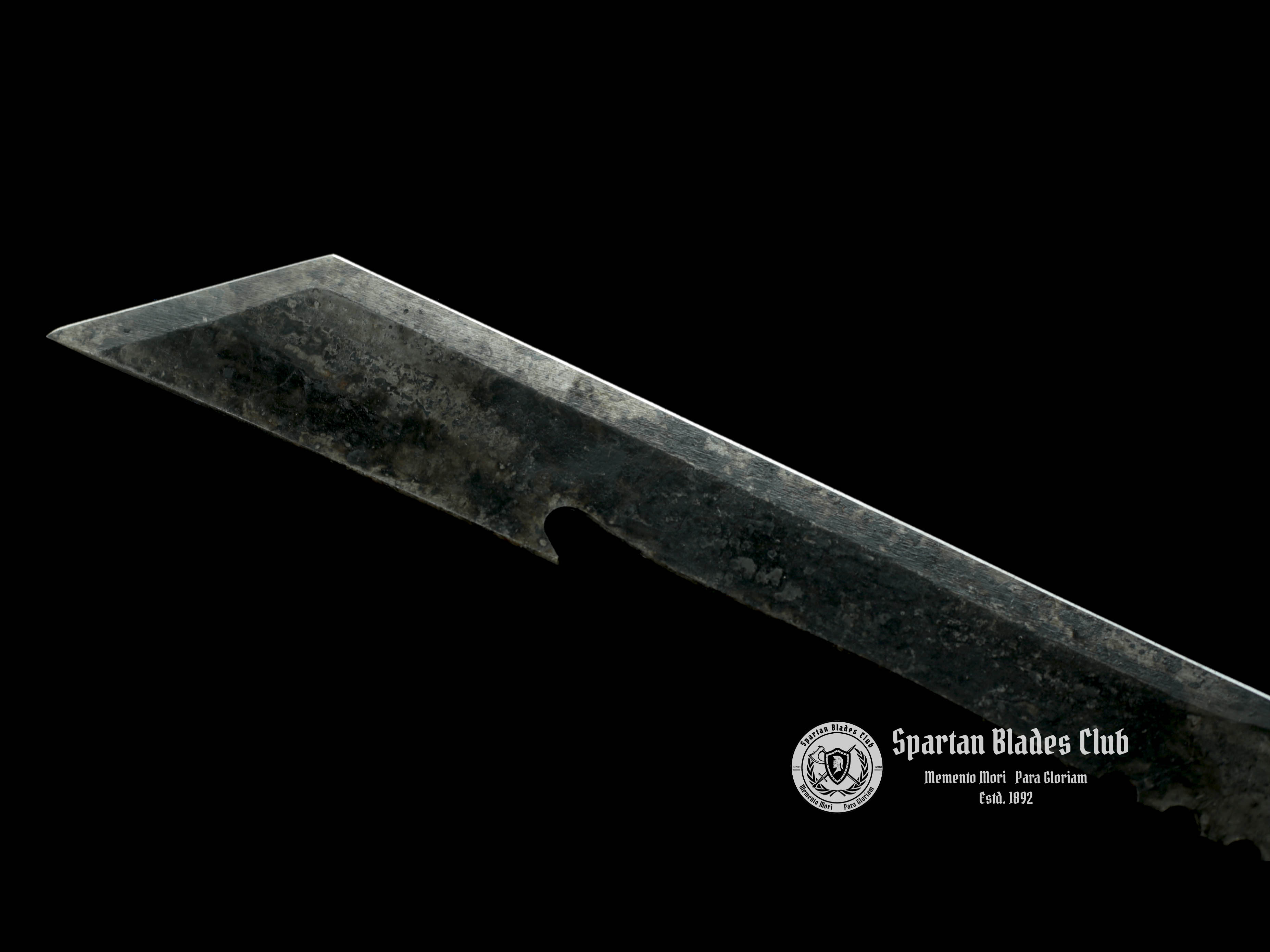 Zombie Killer Ii - High-performance - Zombie Apocalypse - SBC - Spartan Blades Club - 陳氏劍莊1892