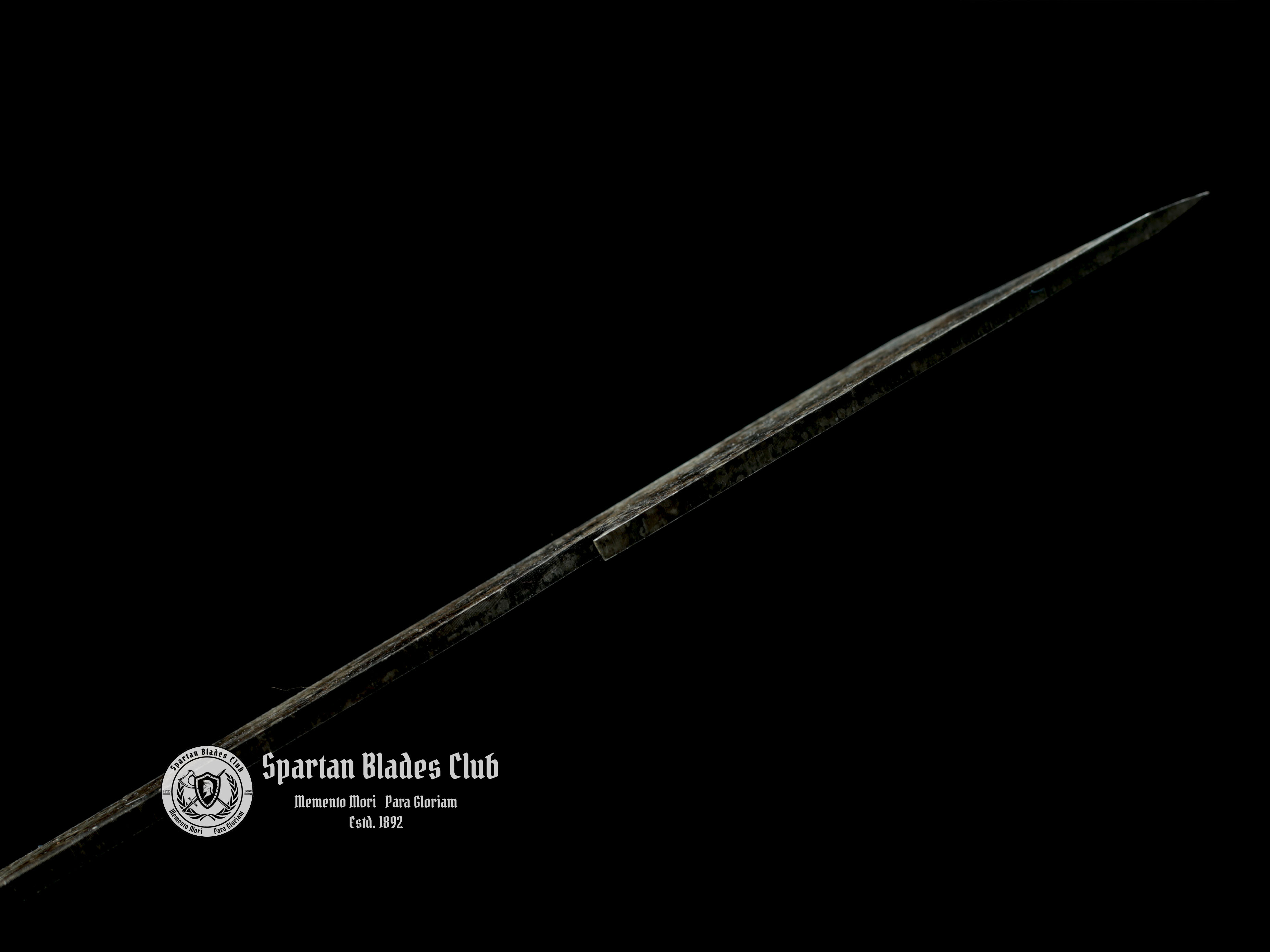 Zombie Killer Ii - High-performance - Zombie Apocalypse - SBC - Spartan Blades Club - 陳氏劍莊1892