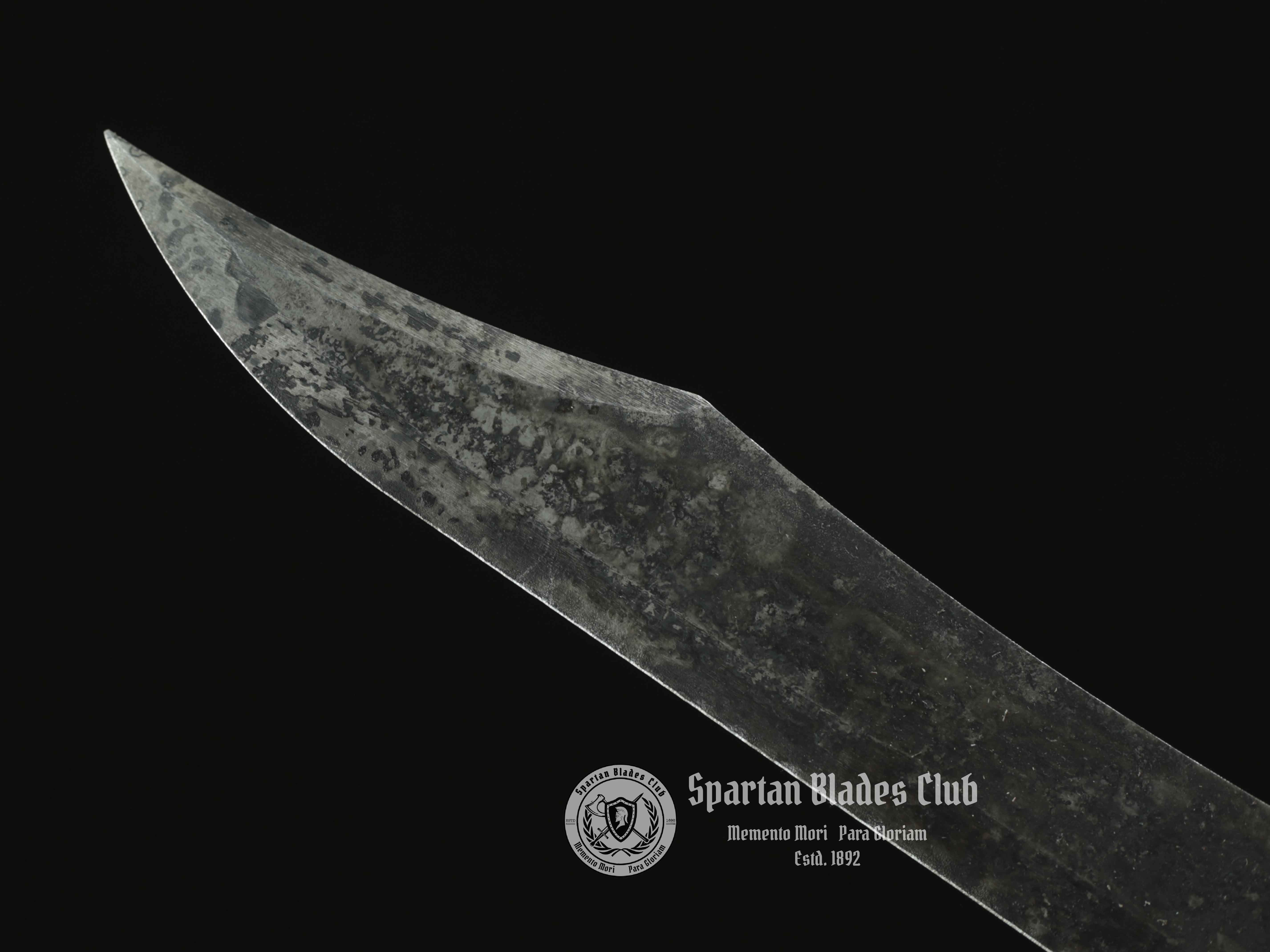 Zombie Killer IV - High-performance - Zombie Apocalypse - SBC - Spartan Blades Club - 陳氏劍莊1892