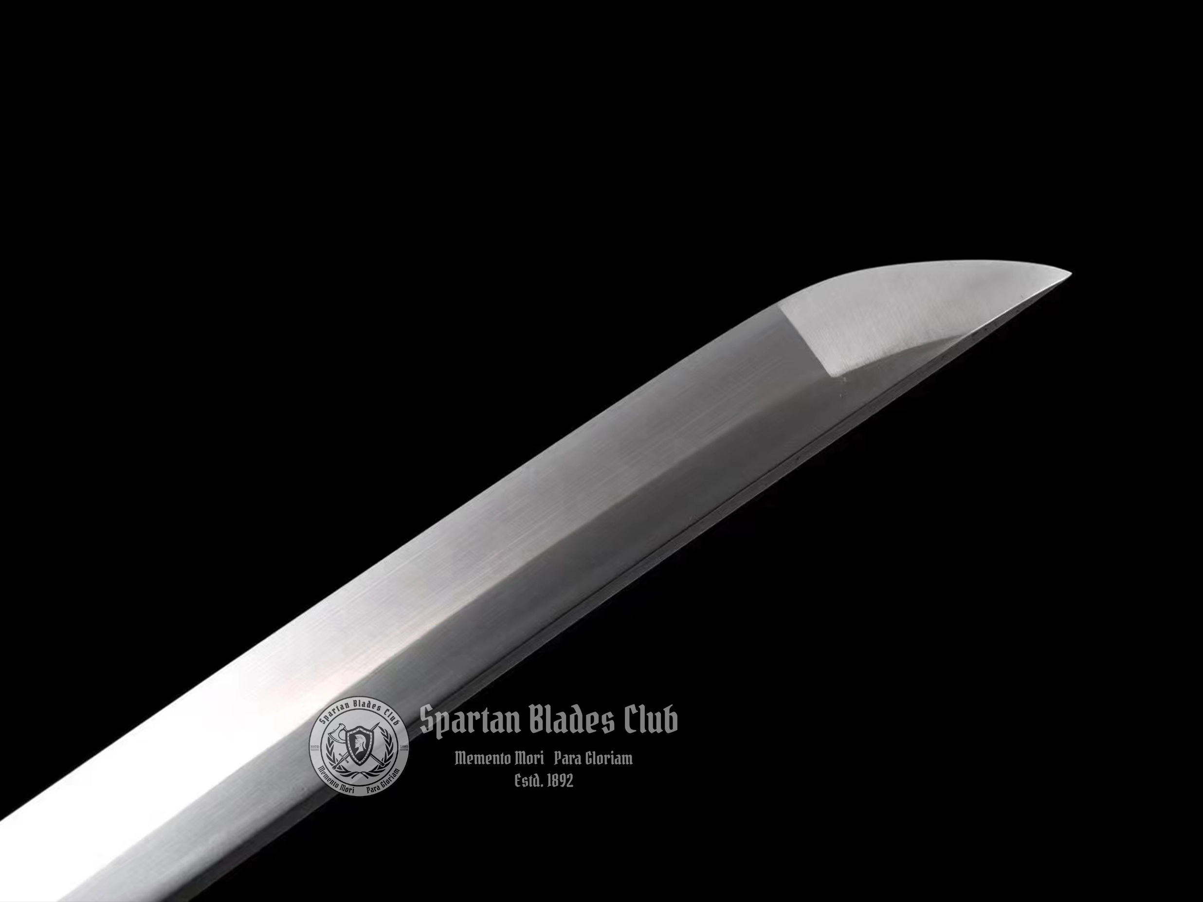 Elegant Green Tachi Sword - T10 Steel - Exquisite Classical Tsuba - Brass Fittings - Battle Ready - 126cm (49.61 inches) - Spartan Blades Club - Spartan Blades Club - 陳氏劍莊1892