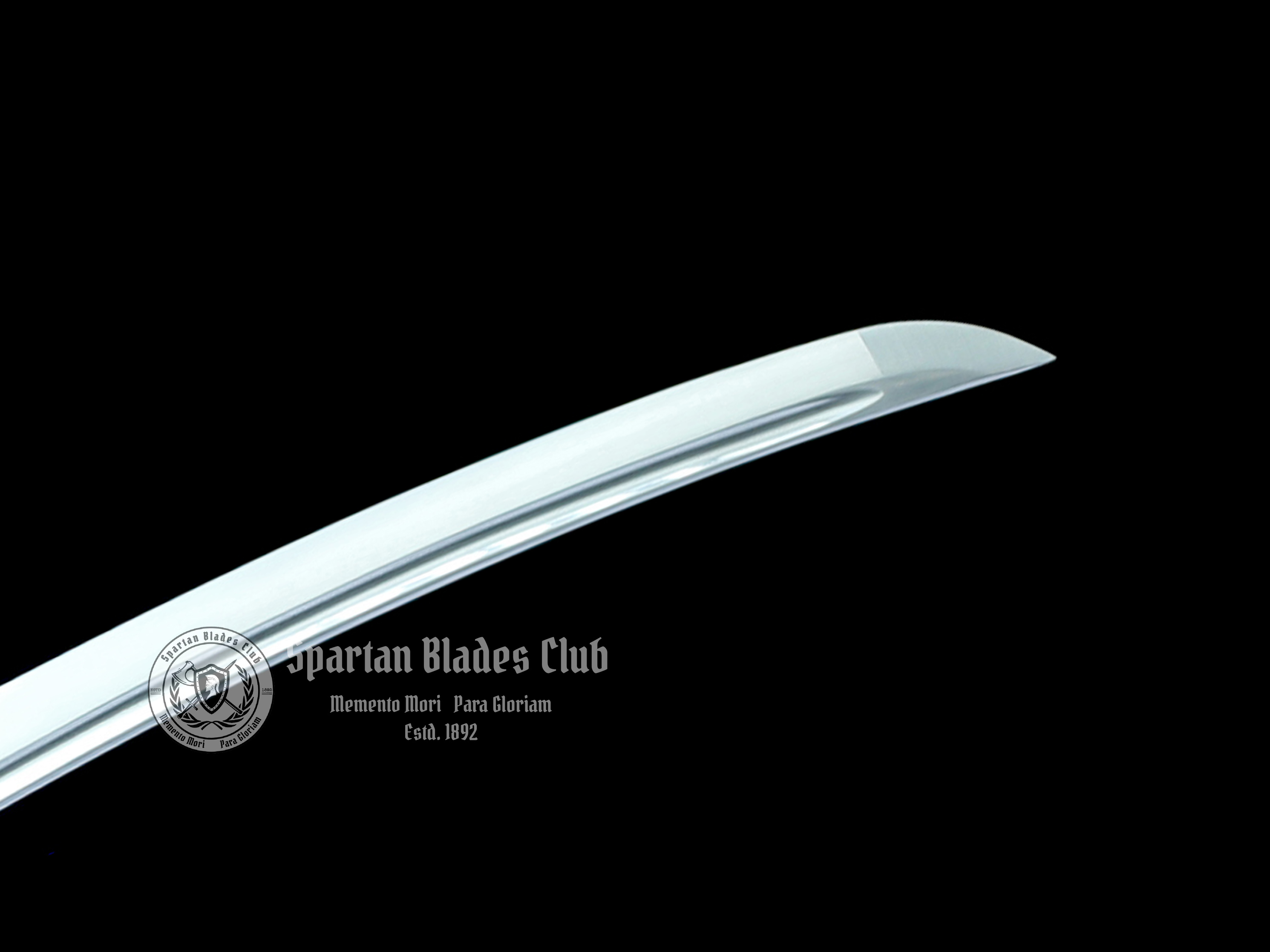 Black Demon Tachi - T10 Steel - 104cm (40.94 inches) - Exquisite Nickel Alloy Mountings - Spartan Blades Club - Spartan Blades Club - 陳氏劍莊1892