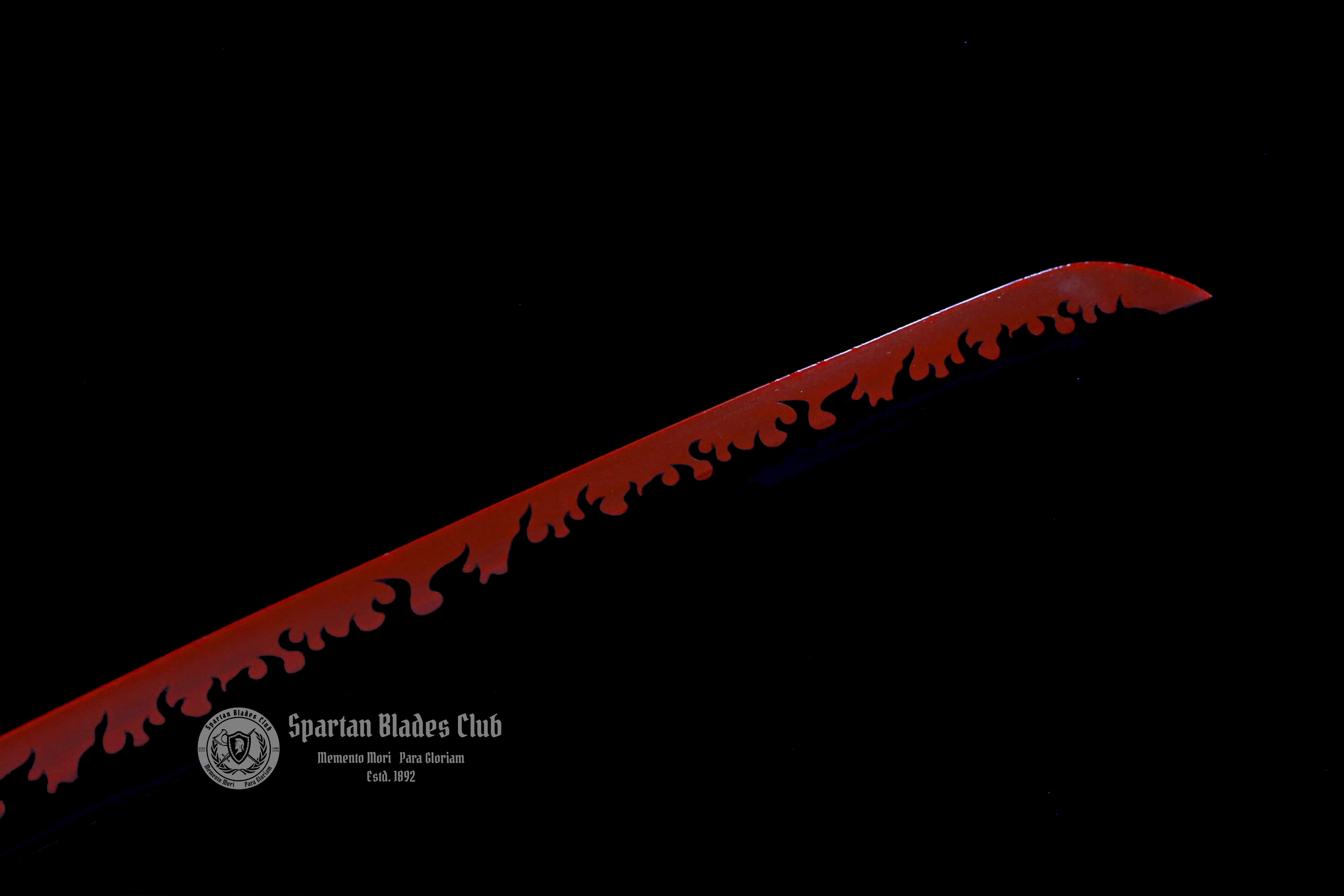 Black ENMA Katana - ONE PIECE - Handmade Real Sword - Sharp - 1045 Carbon steel - Full tang and Battle ready - Japanese Anime Cosplay - SBC - Spartan Blades Club - 陳氏劍莊1892