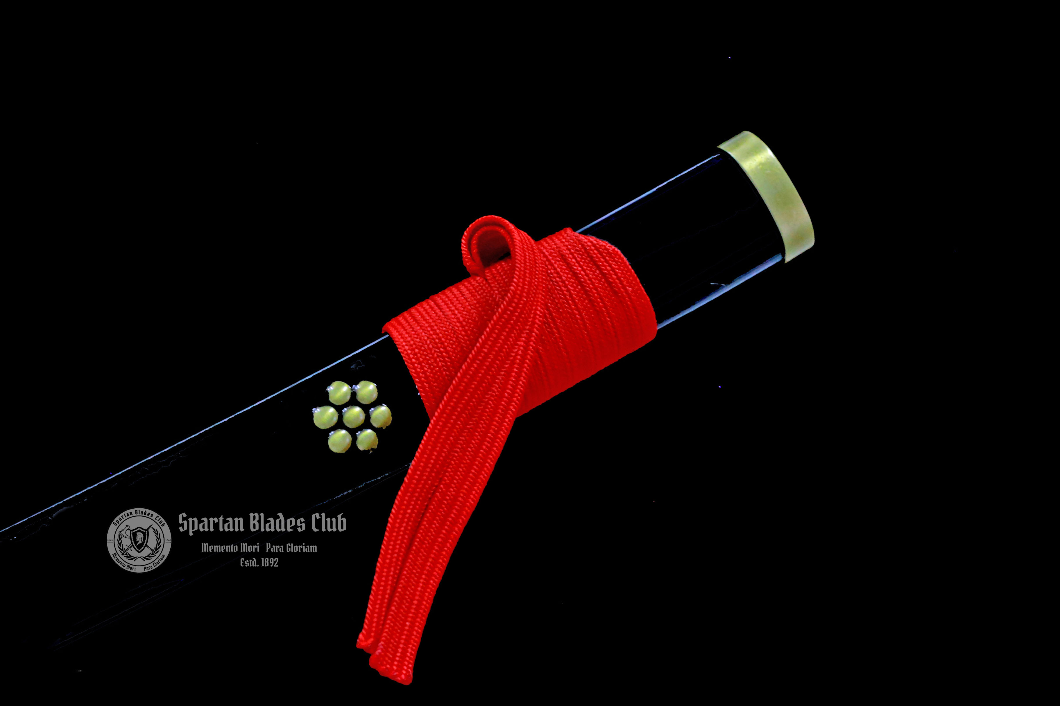 Black ENMA Katana - ONE PIECE - Handmade Real Sword - Sharp - 1045 Carbon steel - Full tang and Battle ready - Japanese Anime Cosplay - SBC - Spartan Blades Club - 陳氏劍莊1892