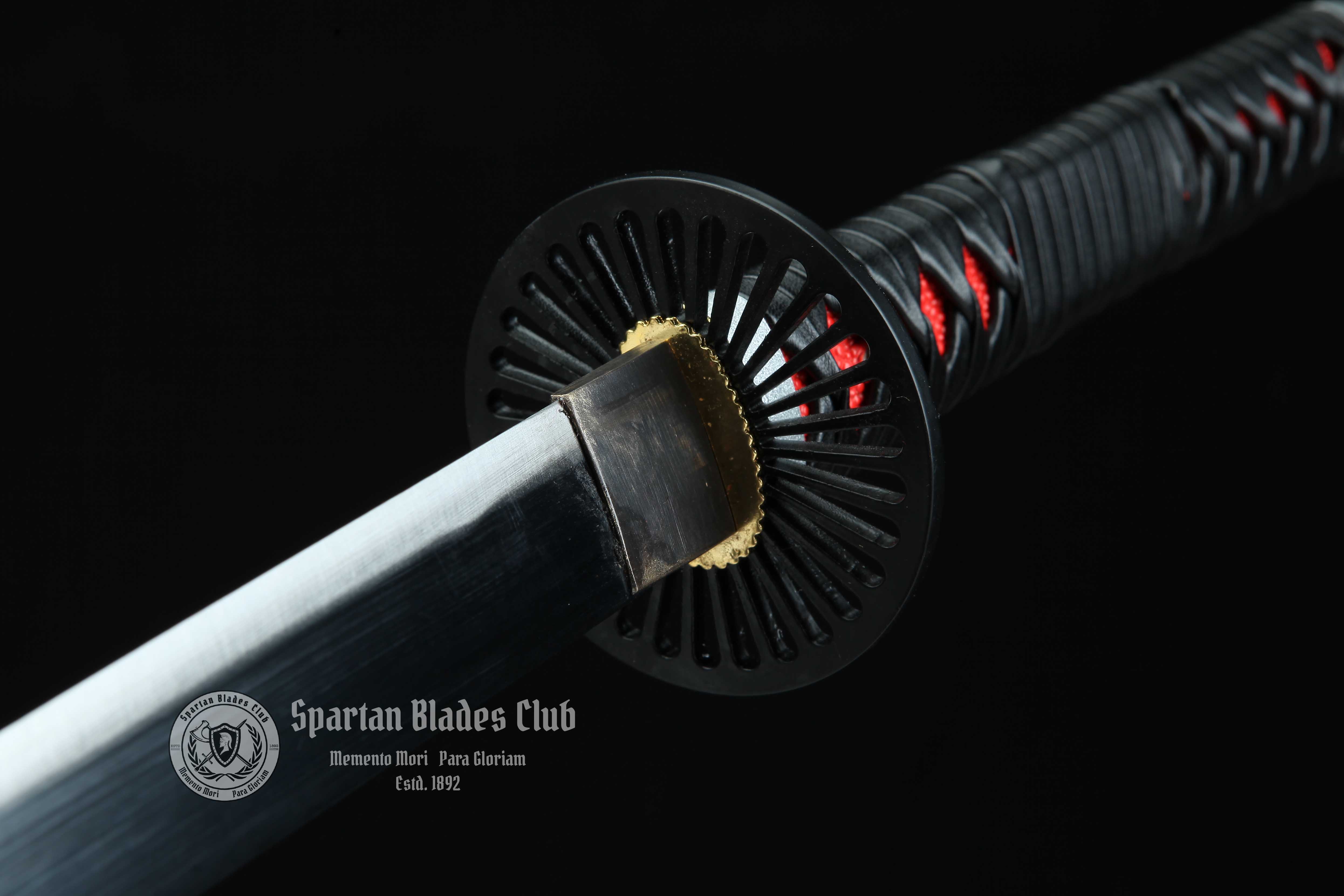 ‎Kamado Tanjiro Sword - Demon Slayer - Handmade Real Sword - Sharp - 1045 Carbon steel - Full tang and Battle ready - Japanese Anime Cosplay - SBC - Spartan Blades Club - 陳氏劍莊1892