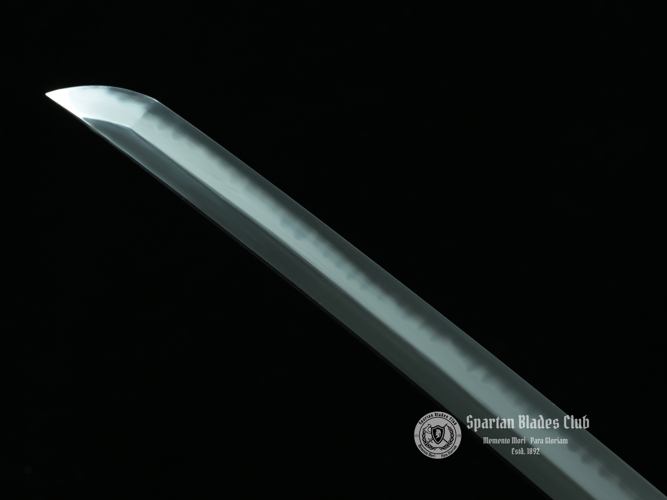 What is T10 Steel? Is it good for swords? | SBC101 - Spartan Blades Club - 陳氏劍莊1892