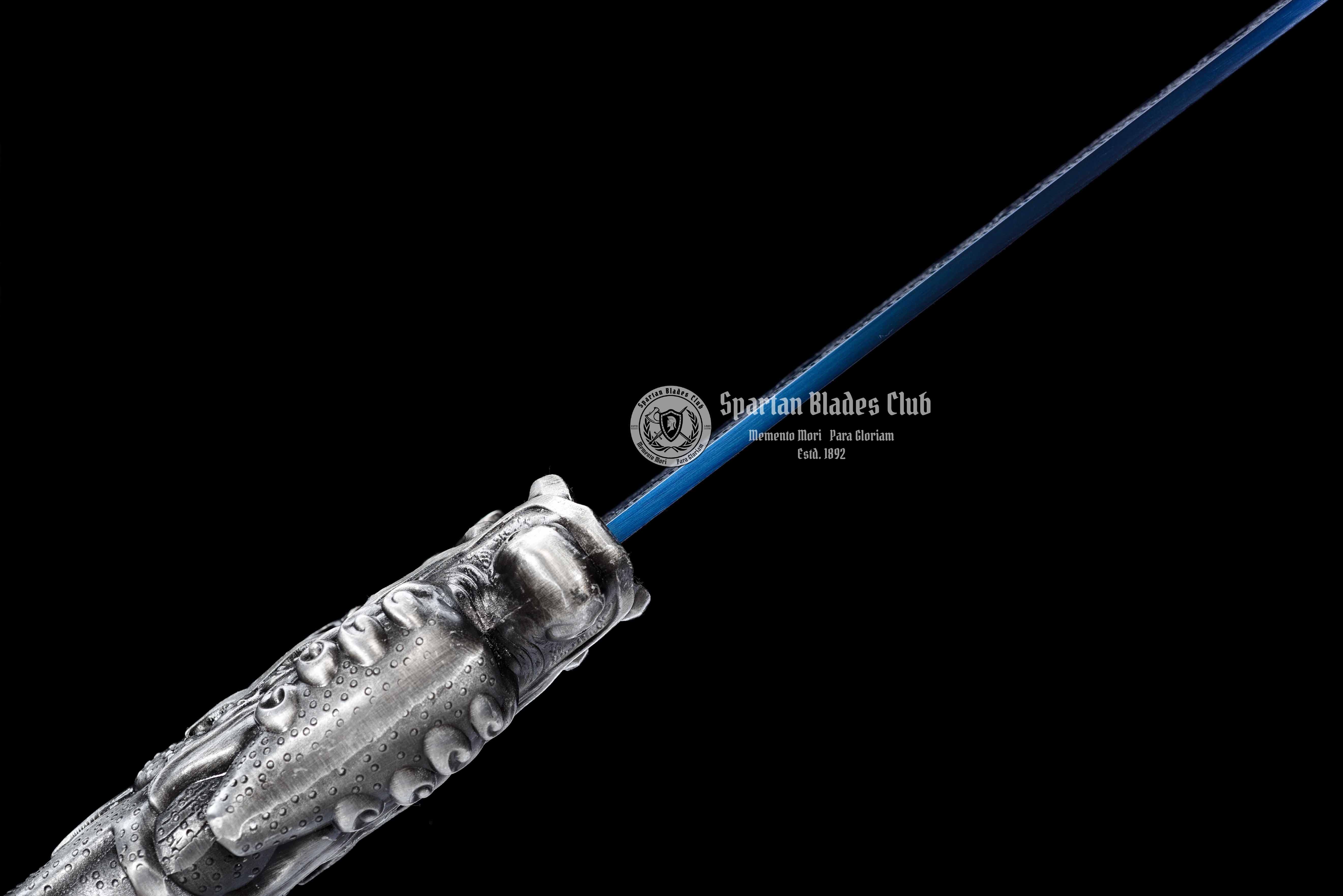 *TK21* Proud Dragon Tangdao Sword - Blue Blade - Handcrafted Beauty - High Manganese Steel - Full Tang - Battle Ready - S.B.C - Spartan Blades Club