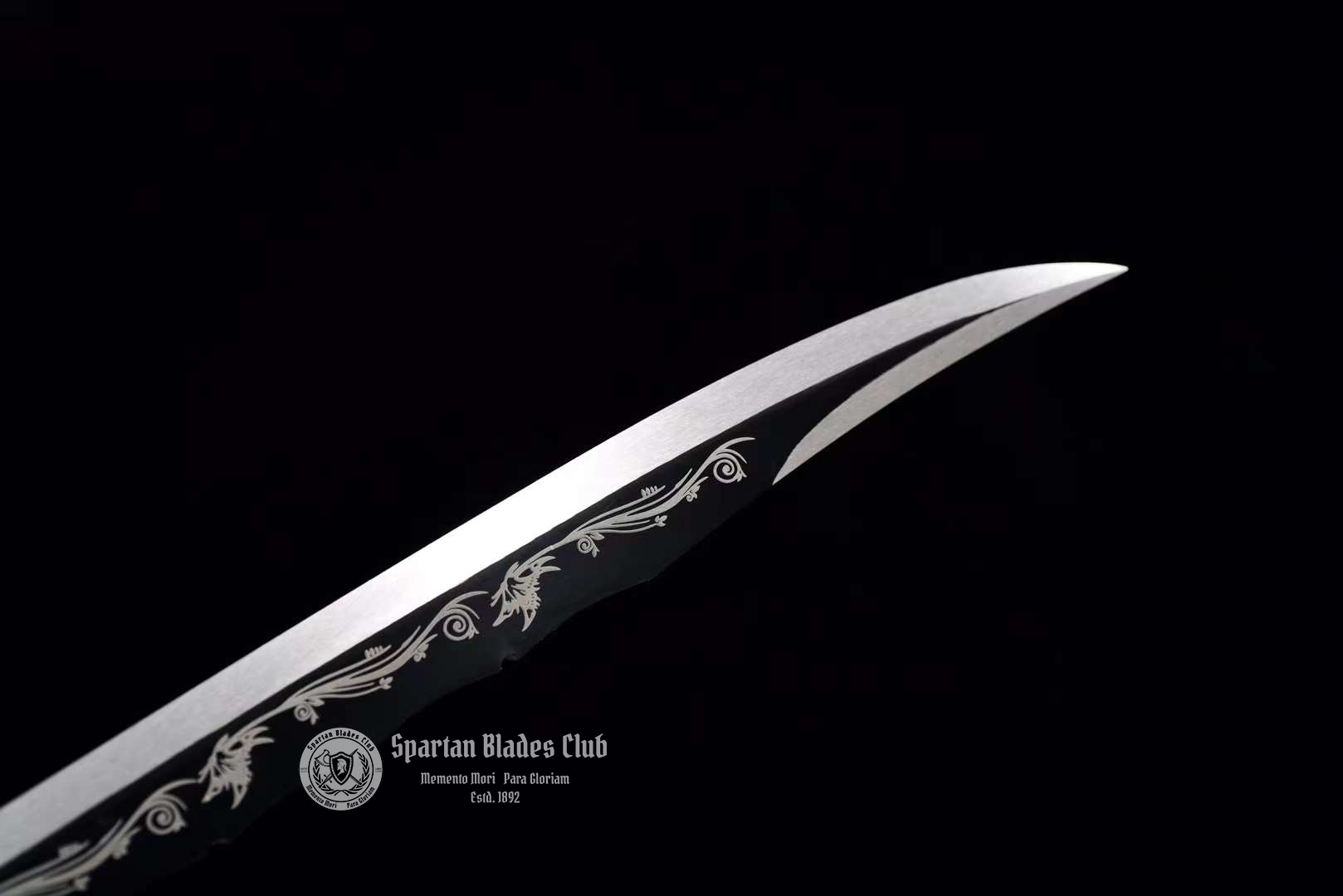 TK16 Dizang - Xiuchundao Sword - Black Blade - 65Mn Steel(Spring steel) - Full Tang - Battle Ready - Spartan Blades Club - Spartan Blades Club - 陳氏劍莊1892