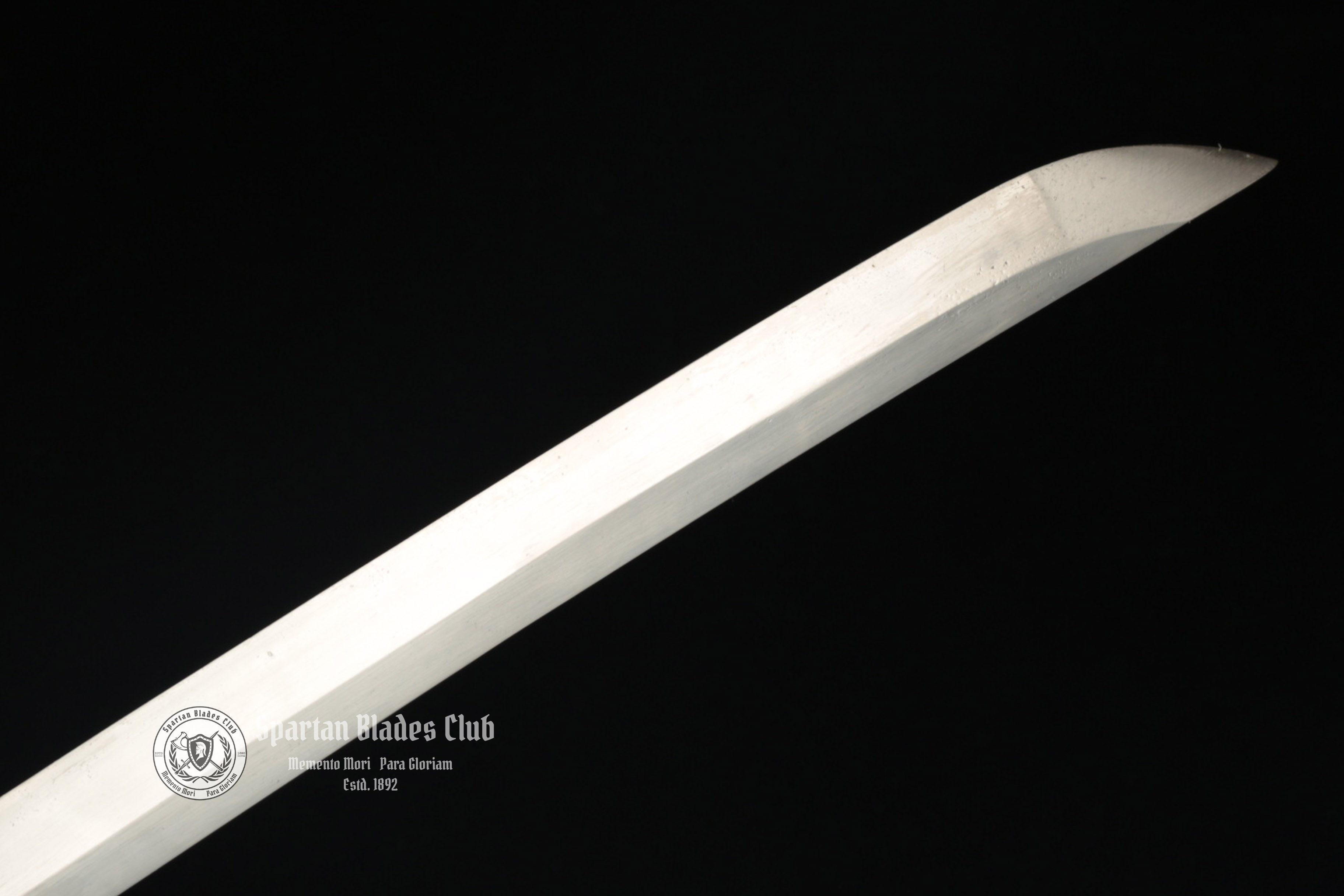 TK25 Silver Dragon Warrior Katana | Handcrafted Manganese Steel Blade - Full Tang - Battle Ready - Spartan Blades Club - Spartan Blades Club - ι³ζ°εθ1892