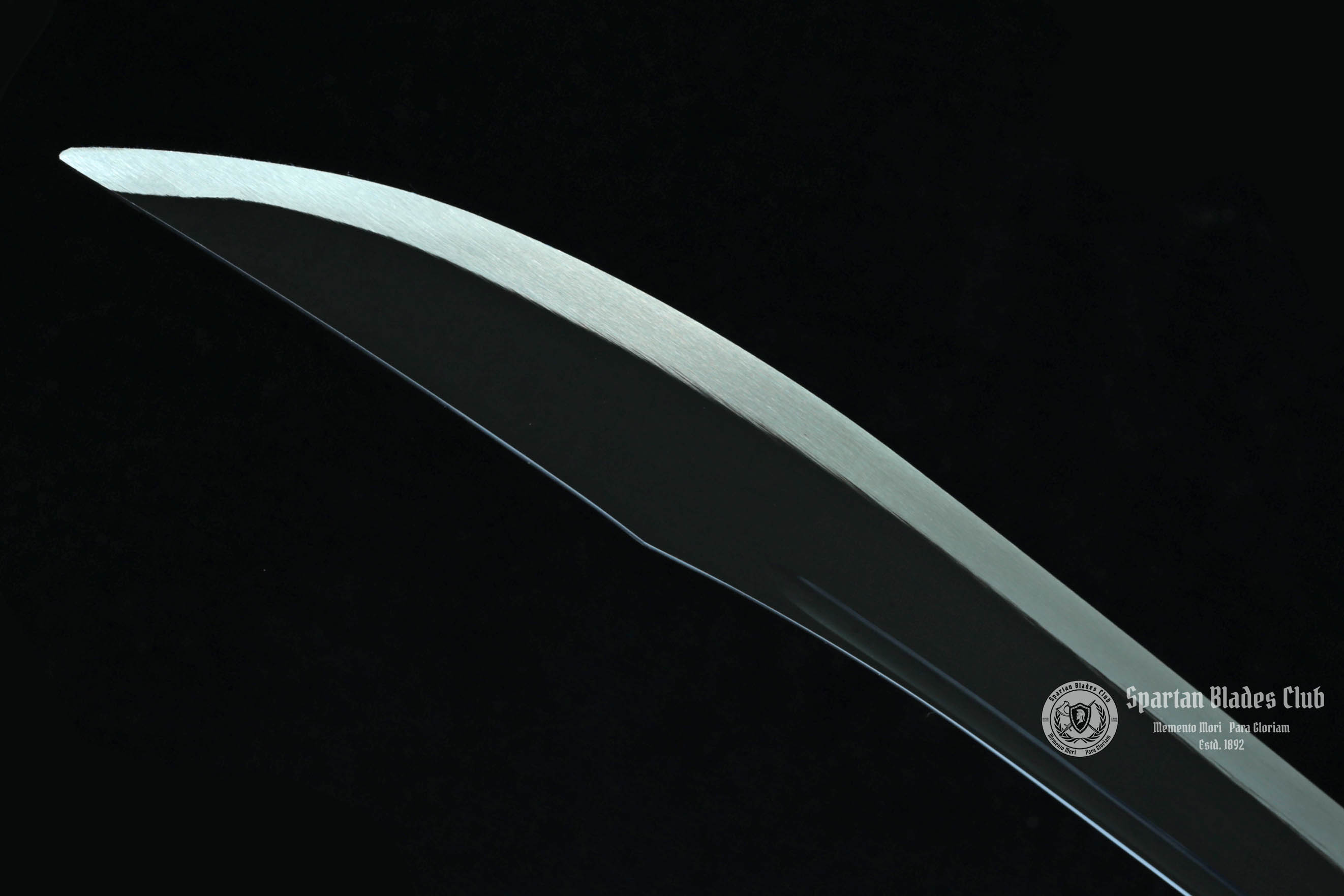 TK17 Skull King  Sword | Black Blade - Handcrafted Manganese Steel Blade - High Performance - Full Tang - Battle Ready - Spartan Blades Club - Spartan Blades Club - 陳氏劍莊1892